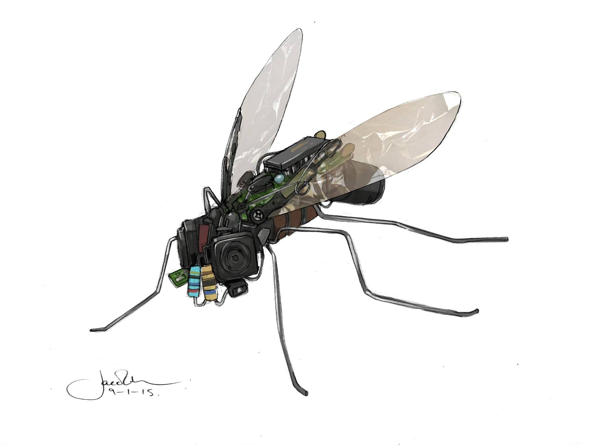 Wallpaper #ZmiMF5MBSpphPi3-4Q91284 A Drawing of a Fly Insect with Many Small Objects on Its Back Legs