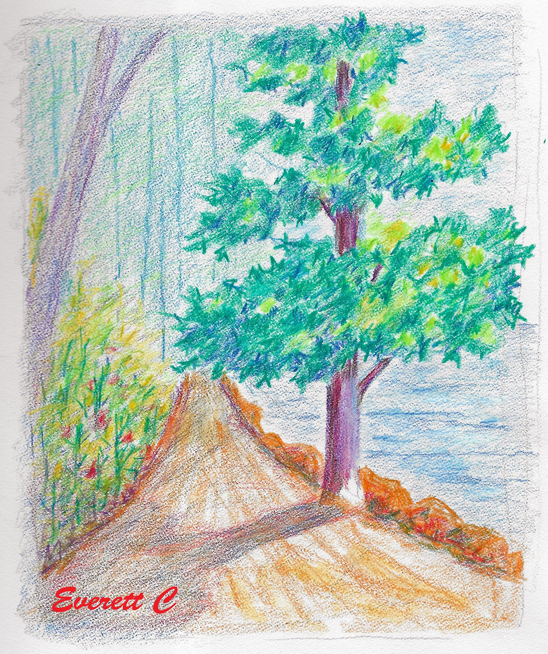 Wallpaper #BWgvFZMBSpphPi3-Zwec93 Tree Colored Pencils in 2021 Artist Supplies Daily Drawing Drawings