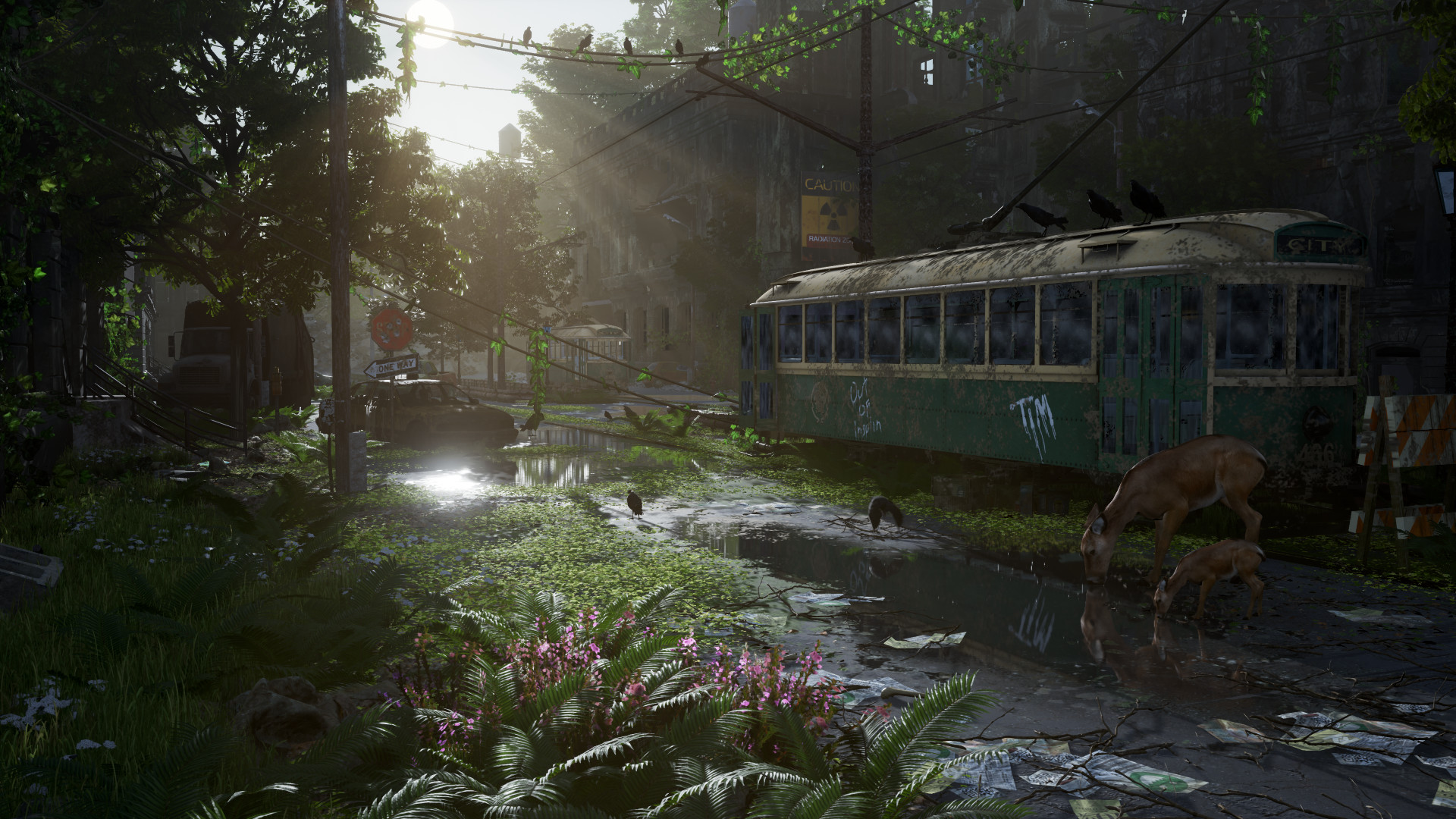 Wallpaper #NWcH9pIBSpphPi3-kYJt274 Pin by Andrew Stow on Post Apocalyptic Post Apocalyptic City