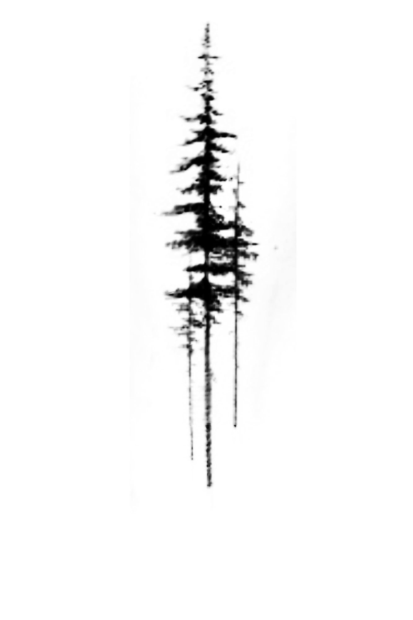 Wallpaper #BGdQC5MBSpphPi3-qtkV386 Pine Tattoo Tattoo Tree Tattoo Ribs Raven Tattoo Tattoo Feather