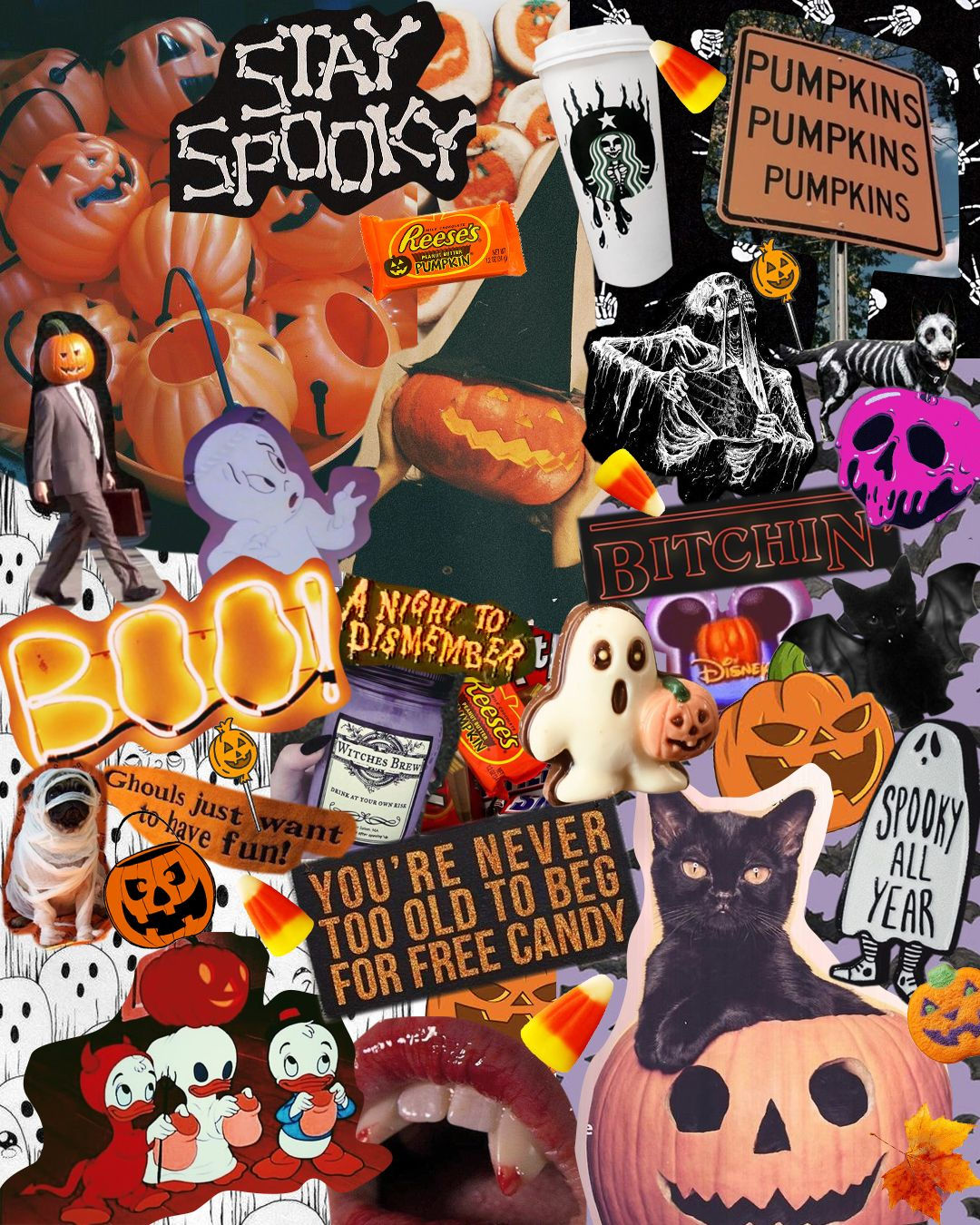 Wallpaper #48eae 30 Adorable Halloween Mobile Wallpapers to Download