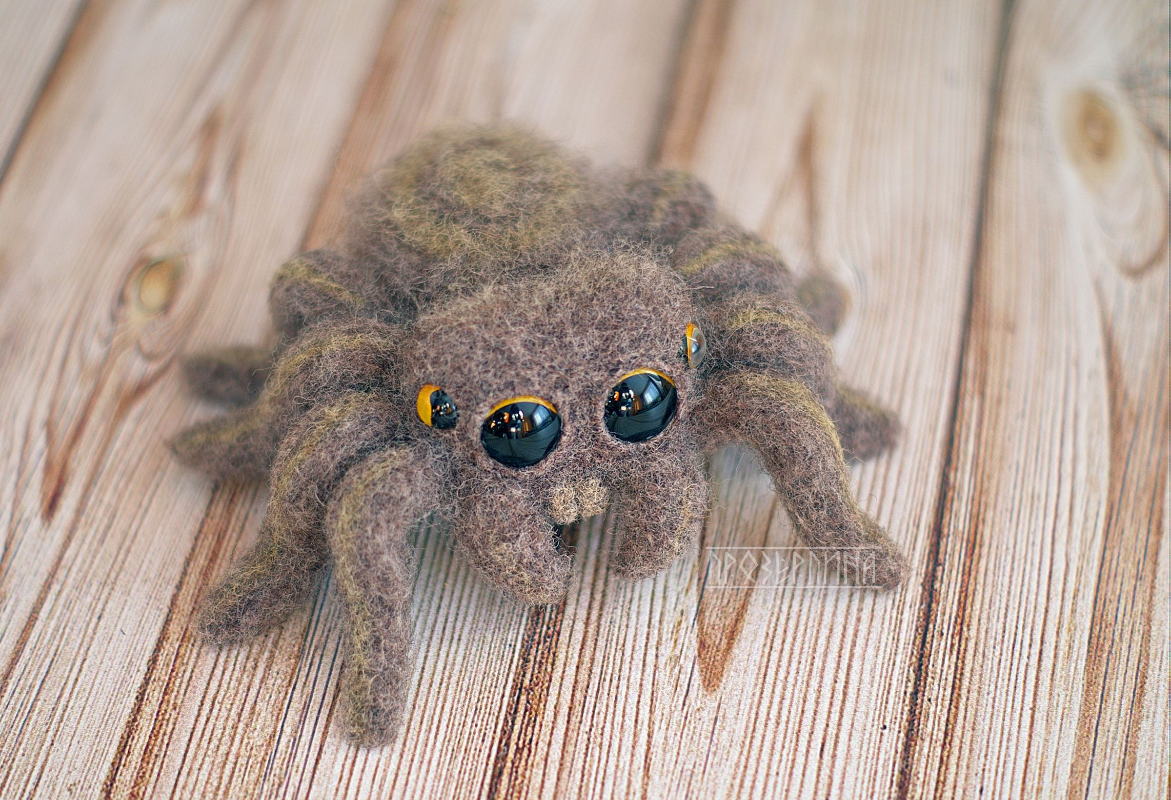 Wallpaper #1fQOOpMBKFX8bn3r-3cr12 It is the Cutest Spider That Can Save People from Arachnophobia Cute