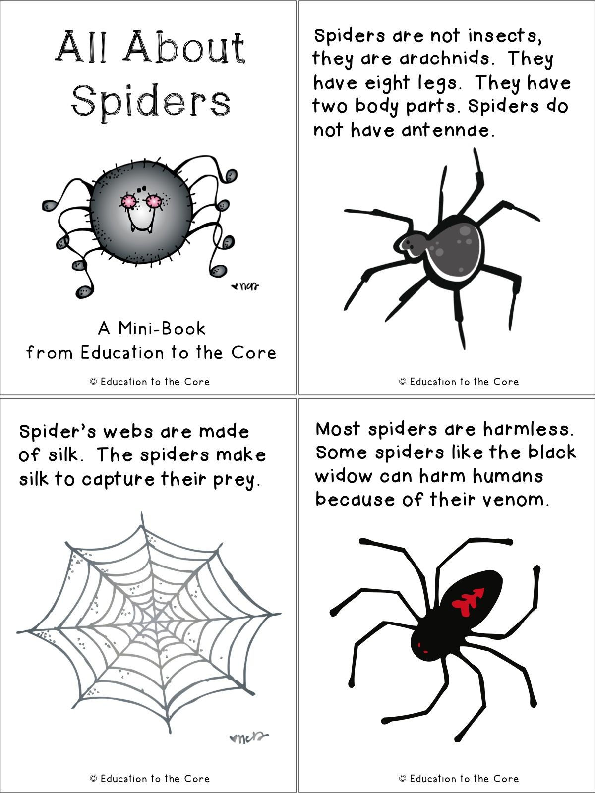 Wallpaper #1fQOOpMBKFX8bn3r-3cr265 Fun Facts About Spiders for Kids Image to U