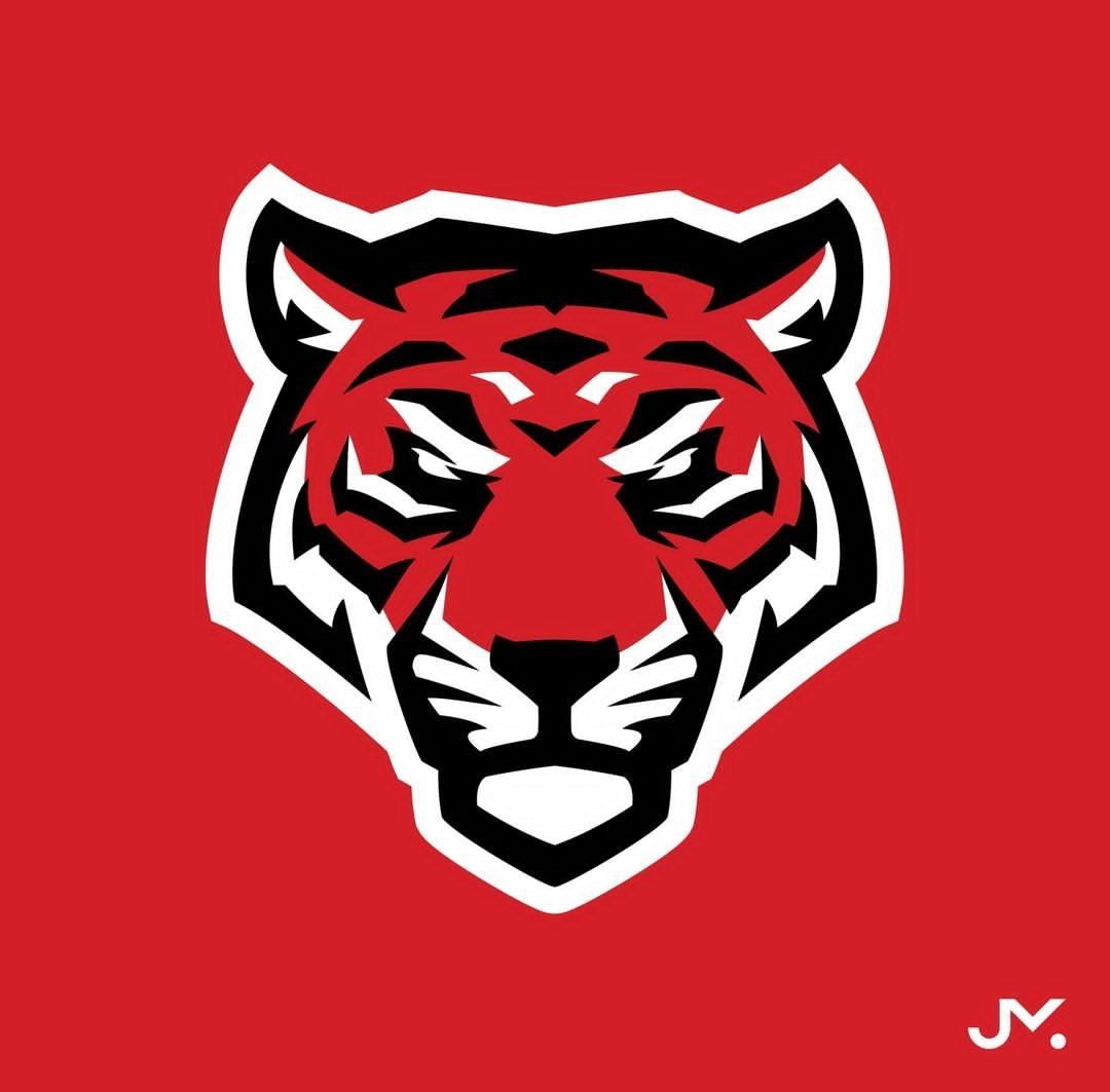 Wallpaper #1WfB-JIBSpphPi3-ior0353 Cat Design Graphic Design Design Ideas Baseball Mascots Fantasy