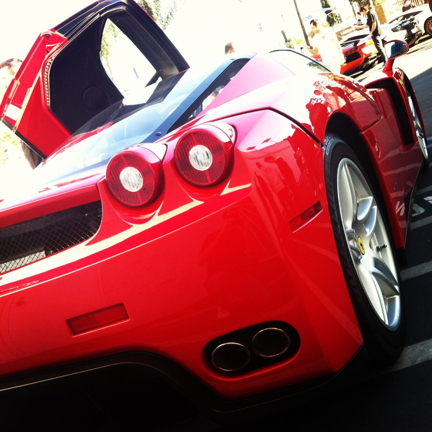 Wallpaper #ZQAh5I4BSdW8dNoutwva55 Back End of the Classic Red Ferrari Enzo at Lamborghini Newport Beach