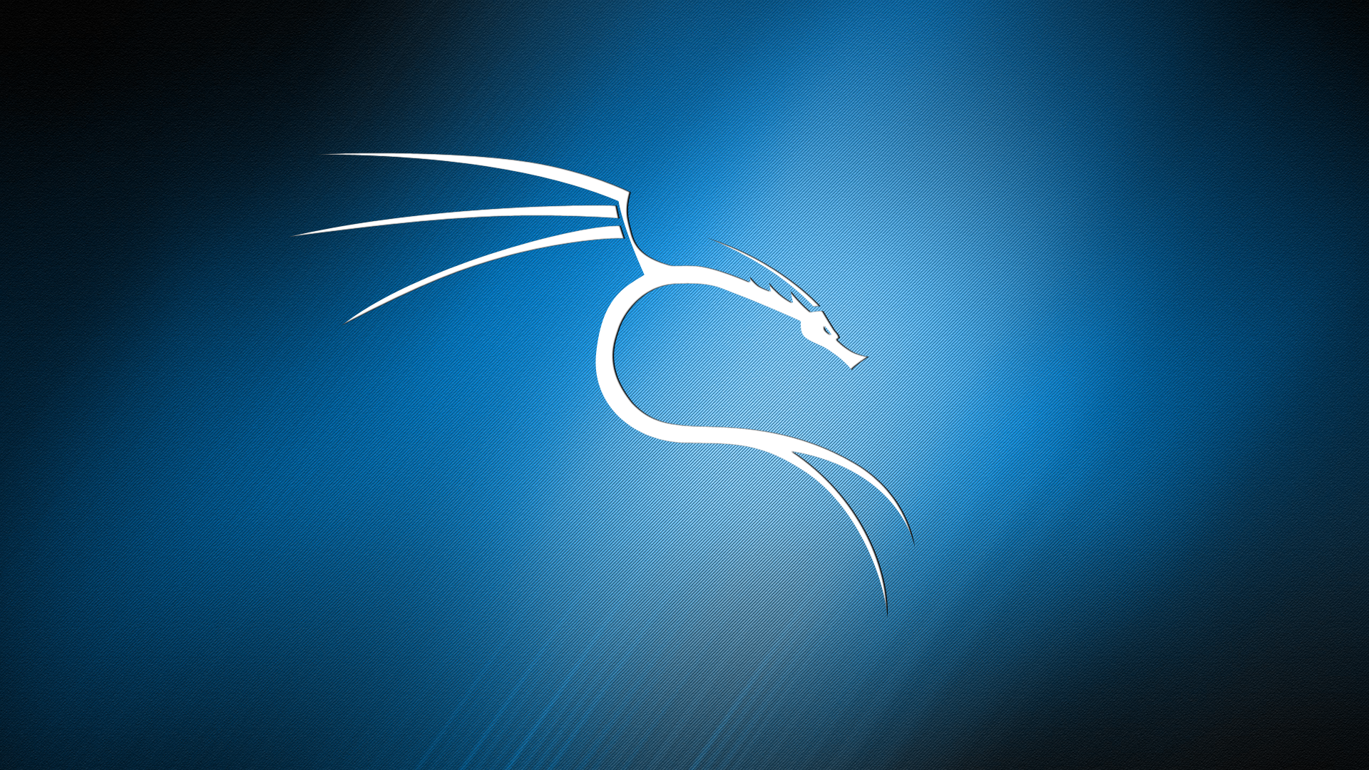 Wallpaper #c37cf Kali Linux 20241 Released with 4 New Tools Ui Refresh