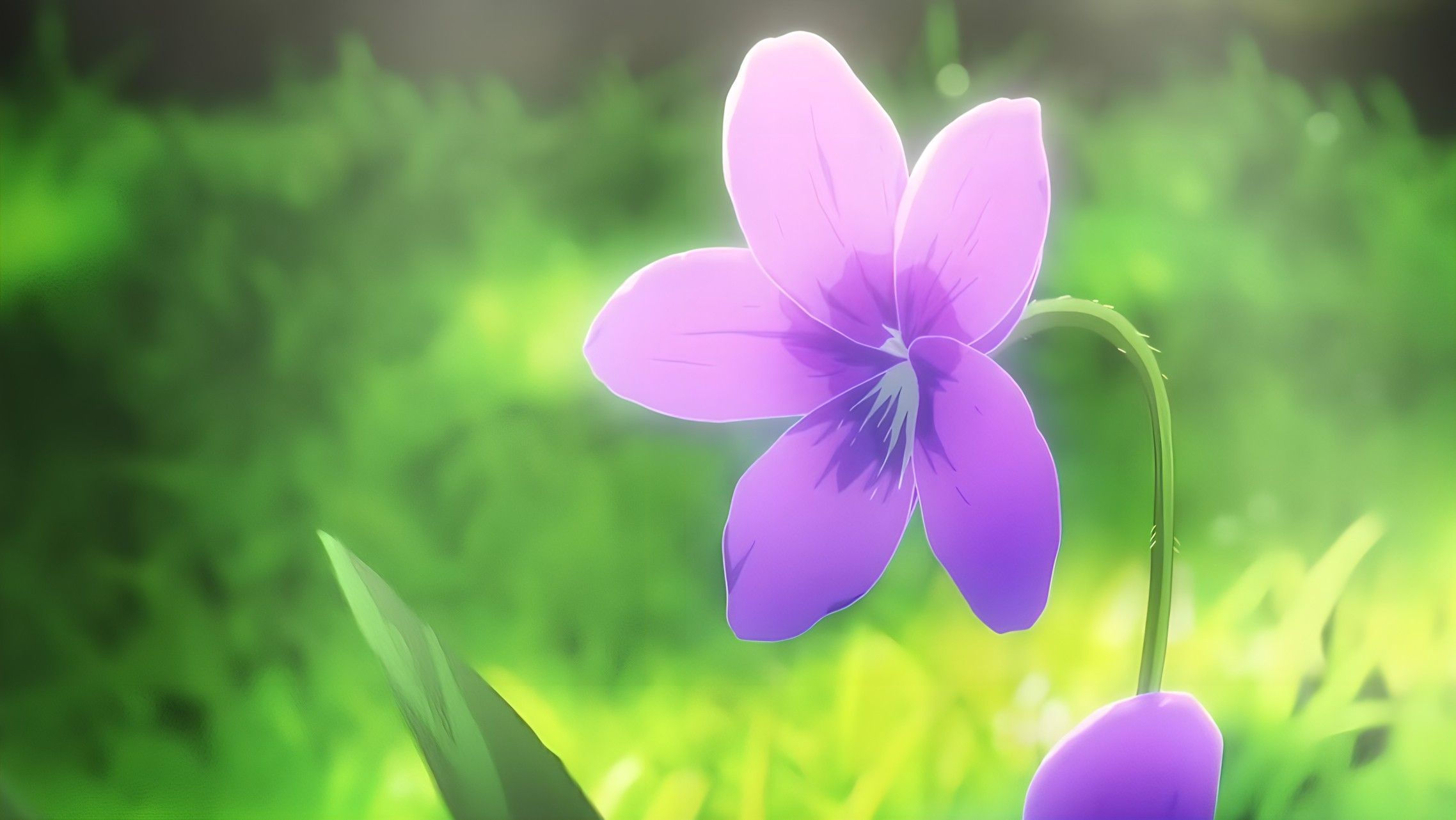 Wallpaper #UzUKkpcBk_lpvpalppRo153 Violet Evergarden Violet Evergarden Anime Anime Flower Anime Background