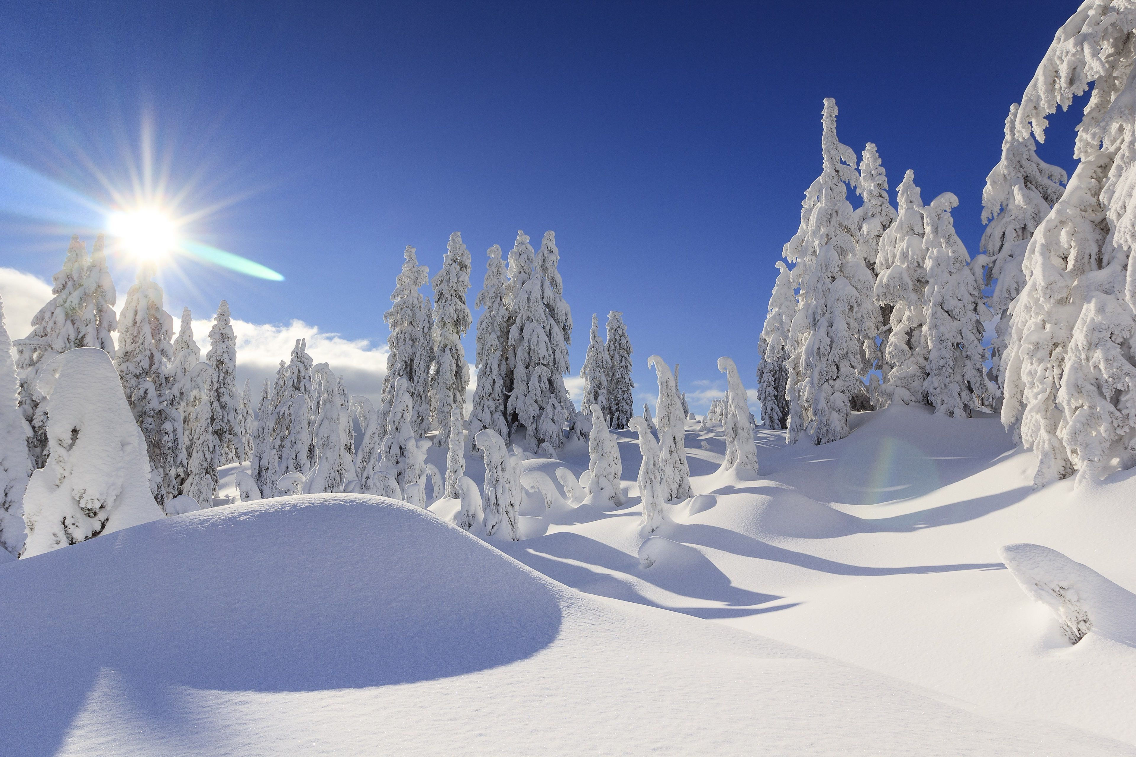 Wallpaper #Xh0aK5MBlOZrFDOkCcW-192 3840x2560 Winter 4K Pictures for Desktop 4K Pictures Desktop Pictures