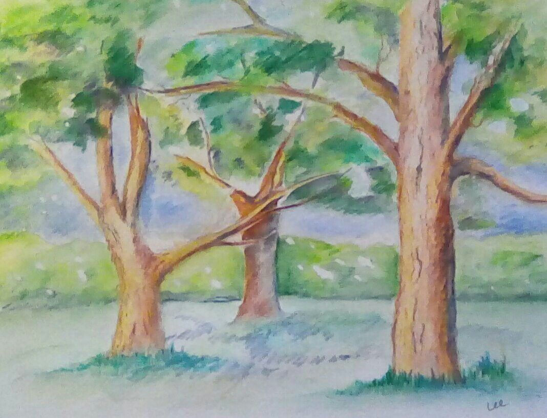 Wallpaper #BWgvFZMBSpphPi3-Zwec134 Trees Watercolour Pencils Watercolor Trees Watercolor Pencils