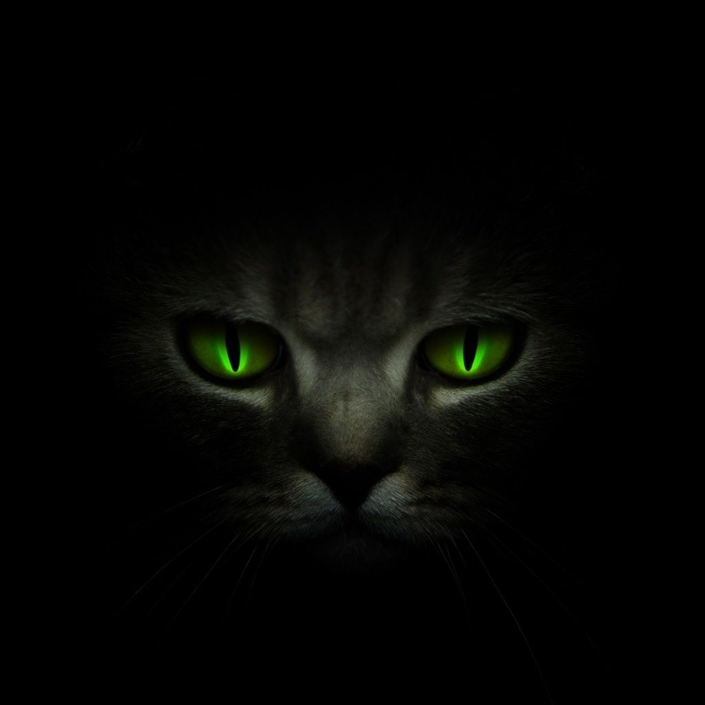 Wallpaper #0002c Glowing Wolf Eyes at Night