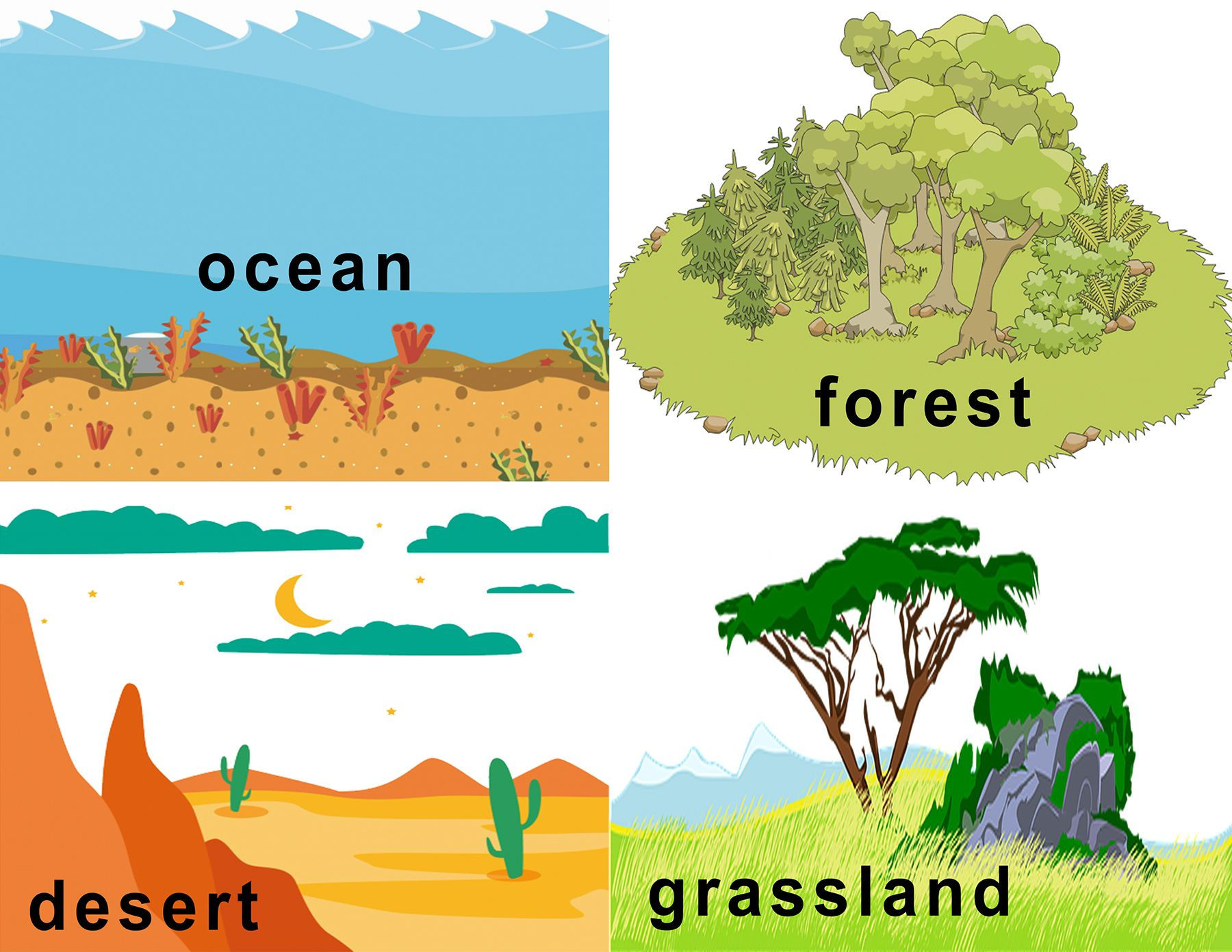 Wallpaper #sXf8J5MB-pgBXx60hKh2154 Free Animal Habitat Flashcards Animal Habitats Habitats Habitats