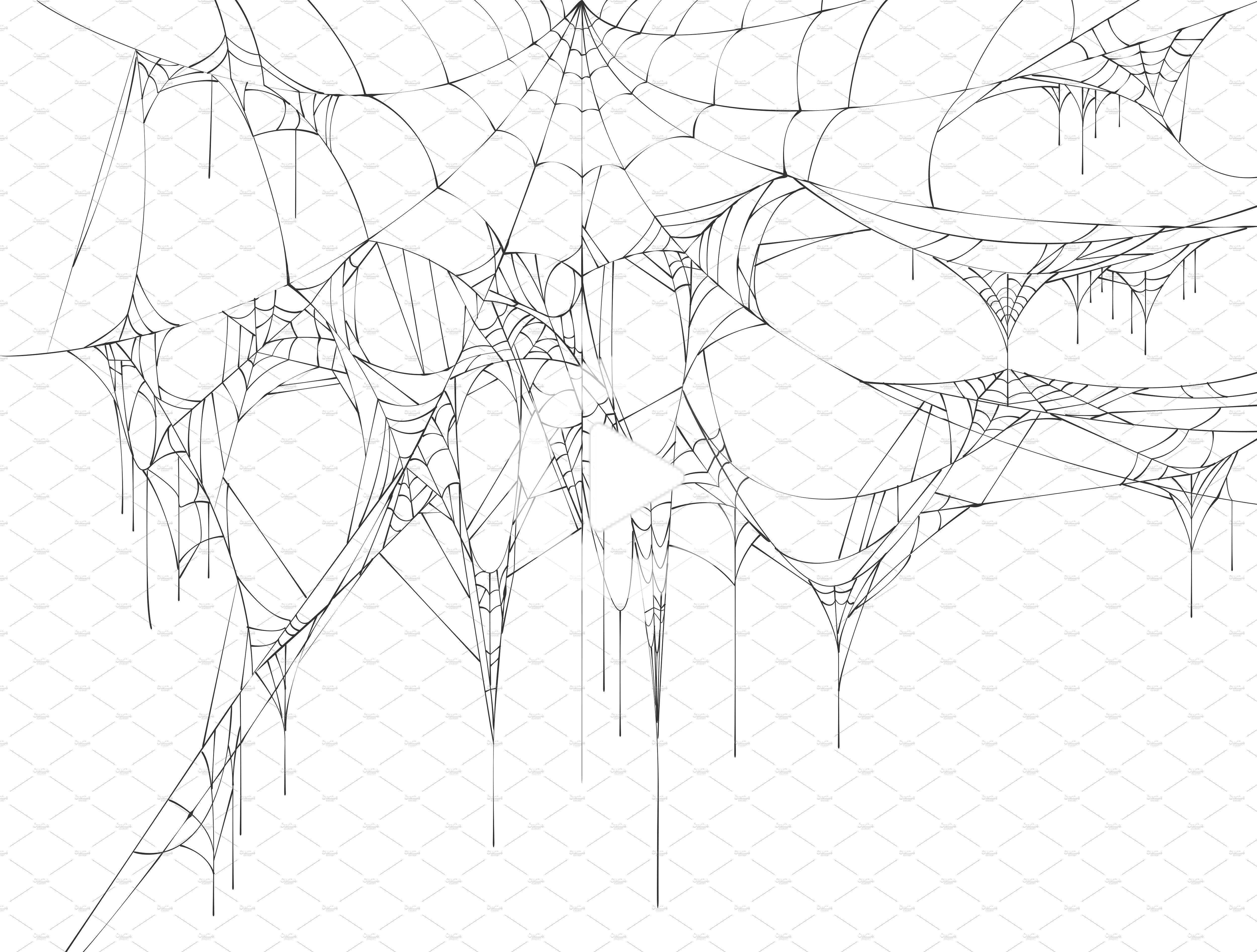 Wallpaper #MmhtGpMBSpphPi3-Uxyl308 Spider on Web Tattoo Spider on Web Web Tattoo Spider Web Drawing