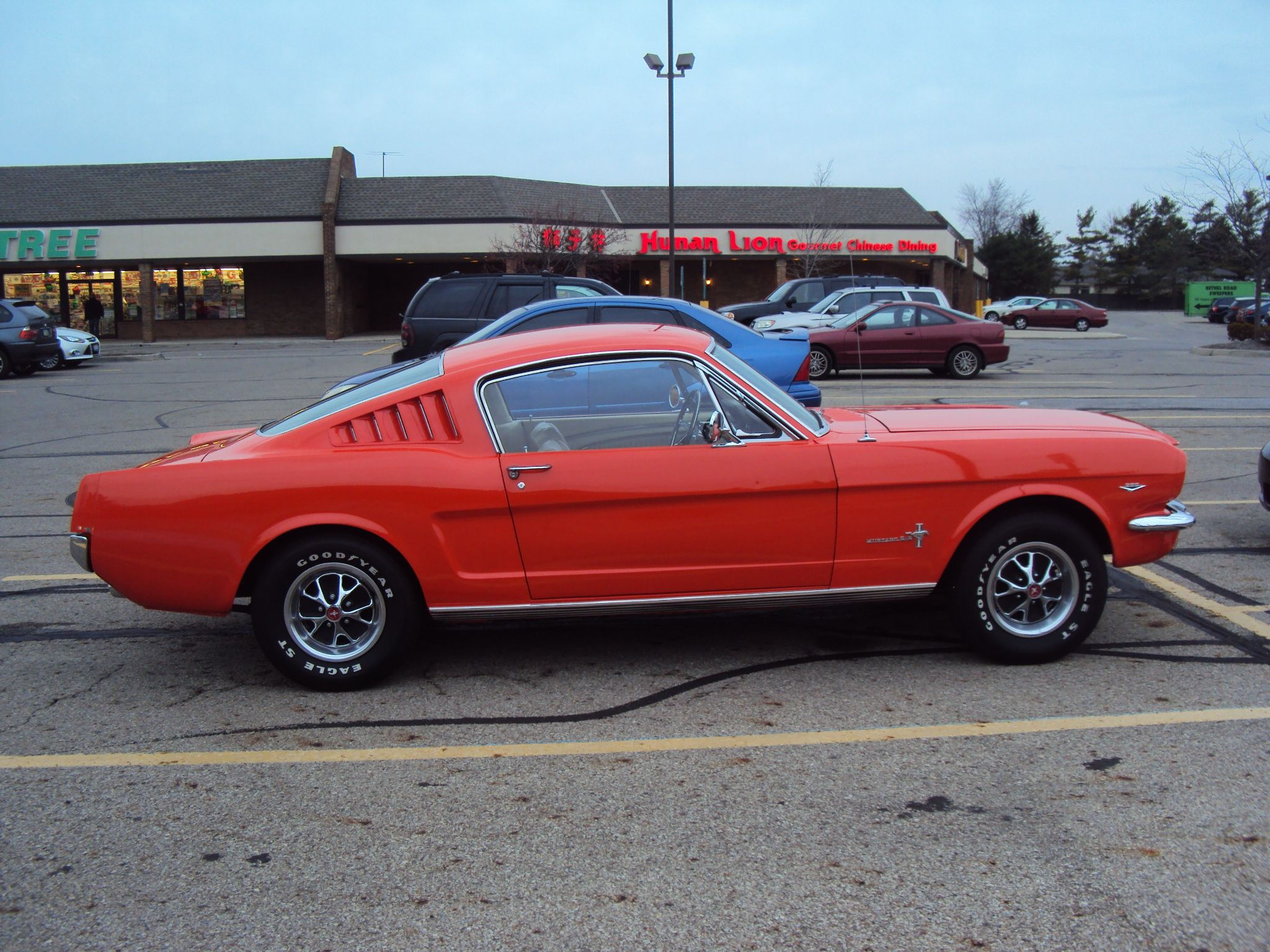 Wallpaper #8BmaF48BtGB6xQ78E2_s2 This is Our 1966 Poppy Red Mustangabsolutely Love It Red