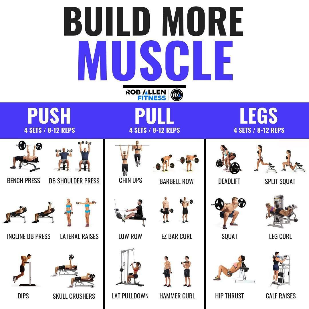 Wallpaper #FF7FB The Suspension Workout Chart Shows How to Do It and What You Can Do with It