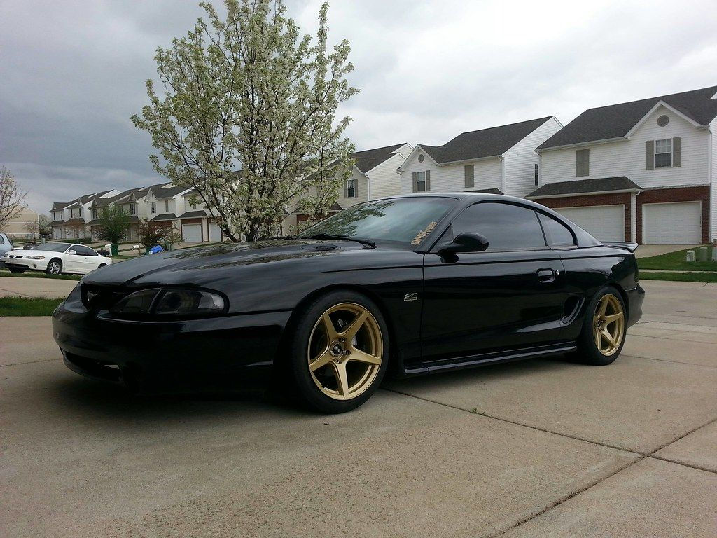 Wallpaper #TxooUZMB1yWOL4qgvoGk267 Click This Image to Show the Full Size Version Sn95 Mustang Mustang
