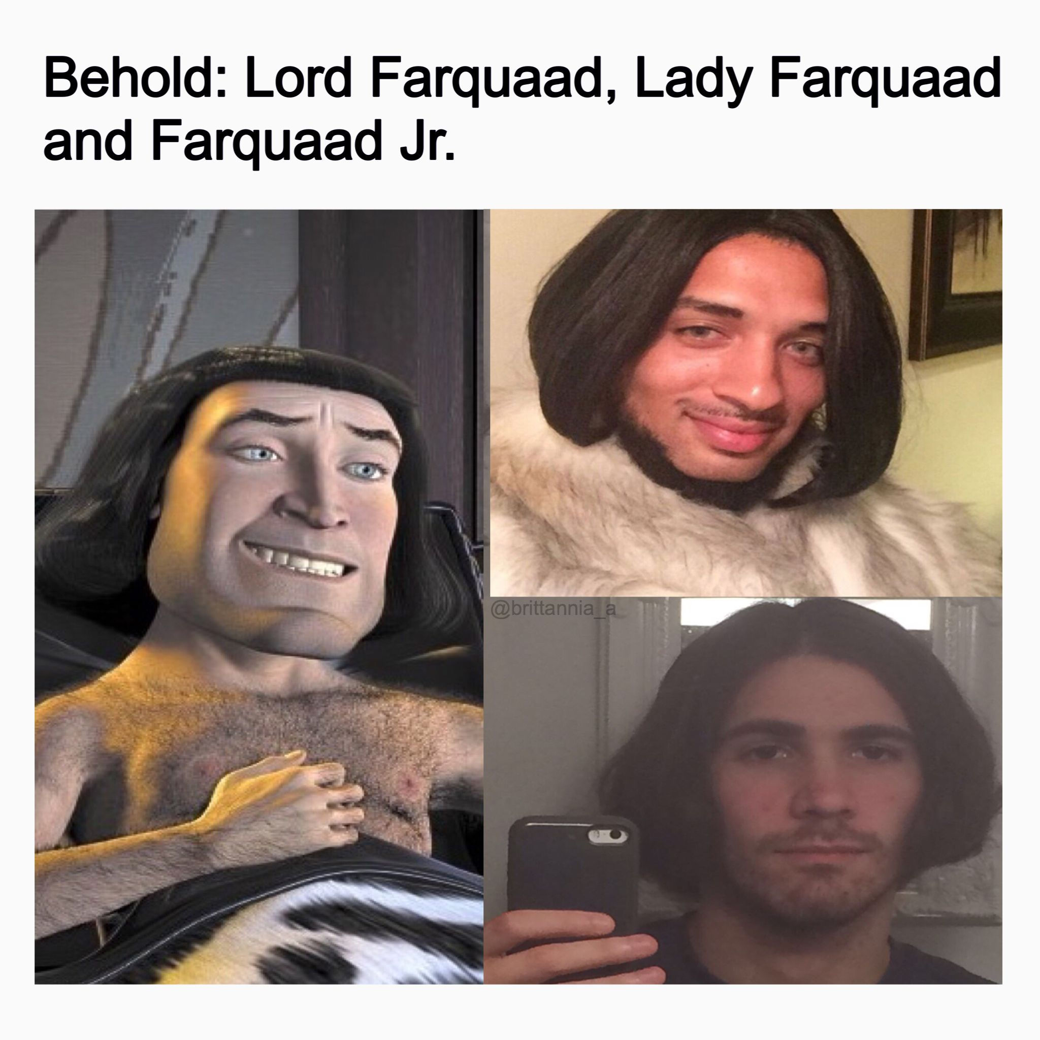 Wallpaper #rBlaDo8BtGB6xQ78bVlF26 Meme Humor Funnymemes Lord Farquaad Humor Funny Memes