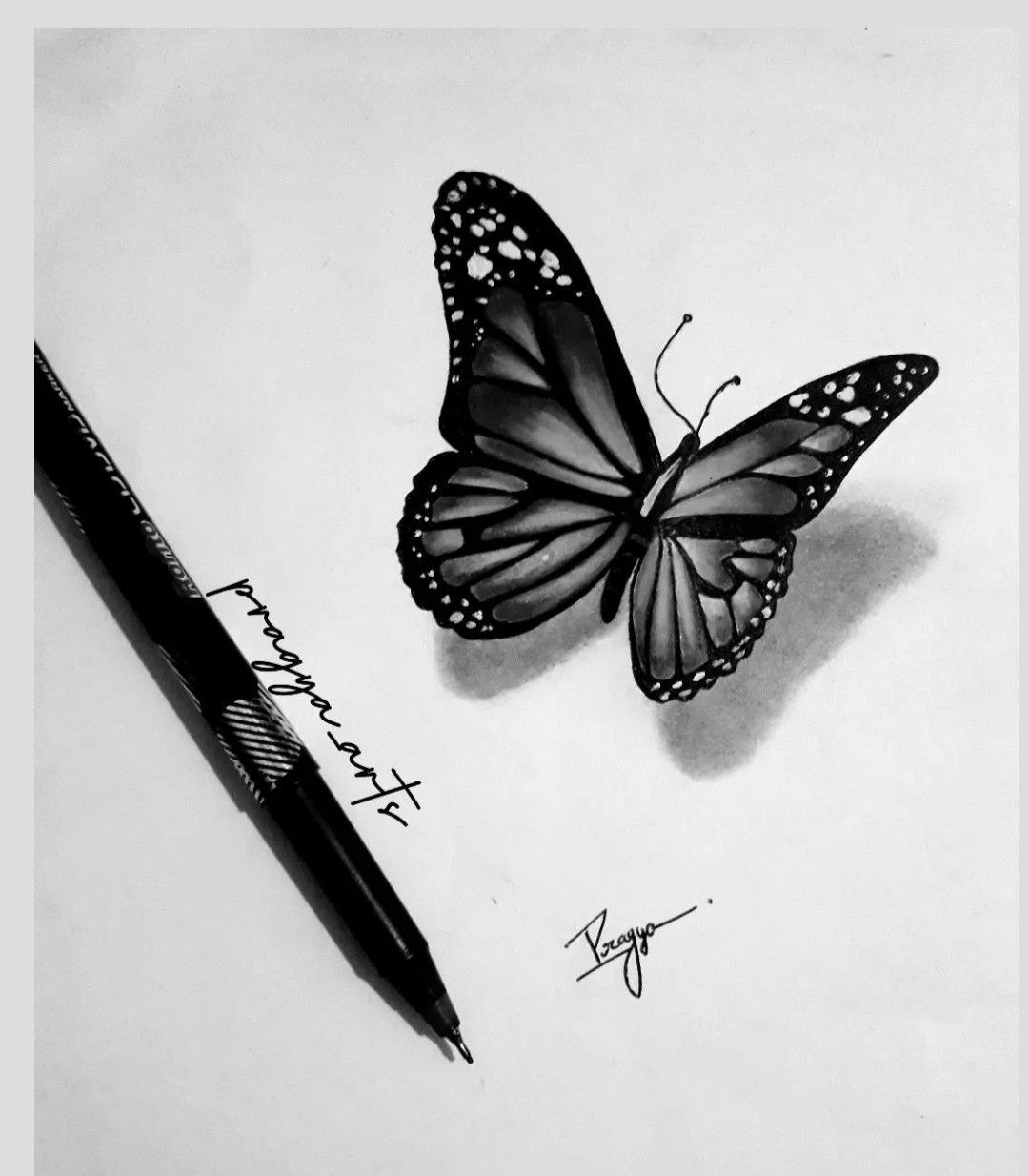 Wallpaper #Ph0GKpMBlOZrFDOkycPy417 3D Art3d Sketch3d Drawingbutterfly Drawingbutterfly Sketchbutterfly