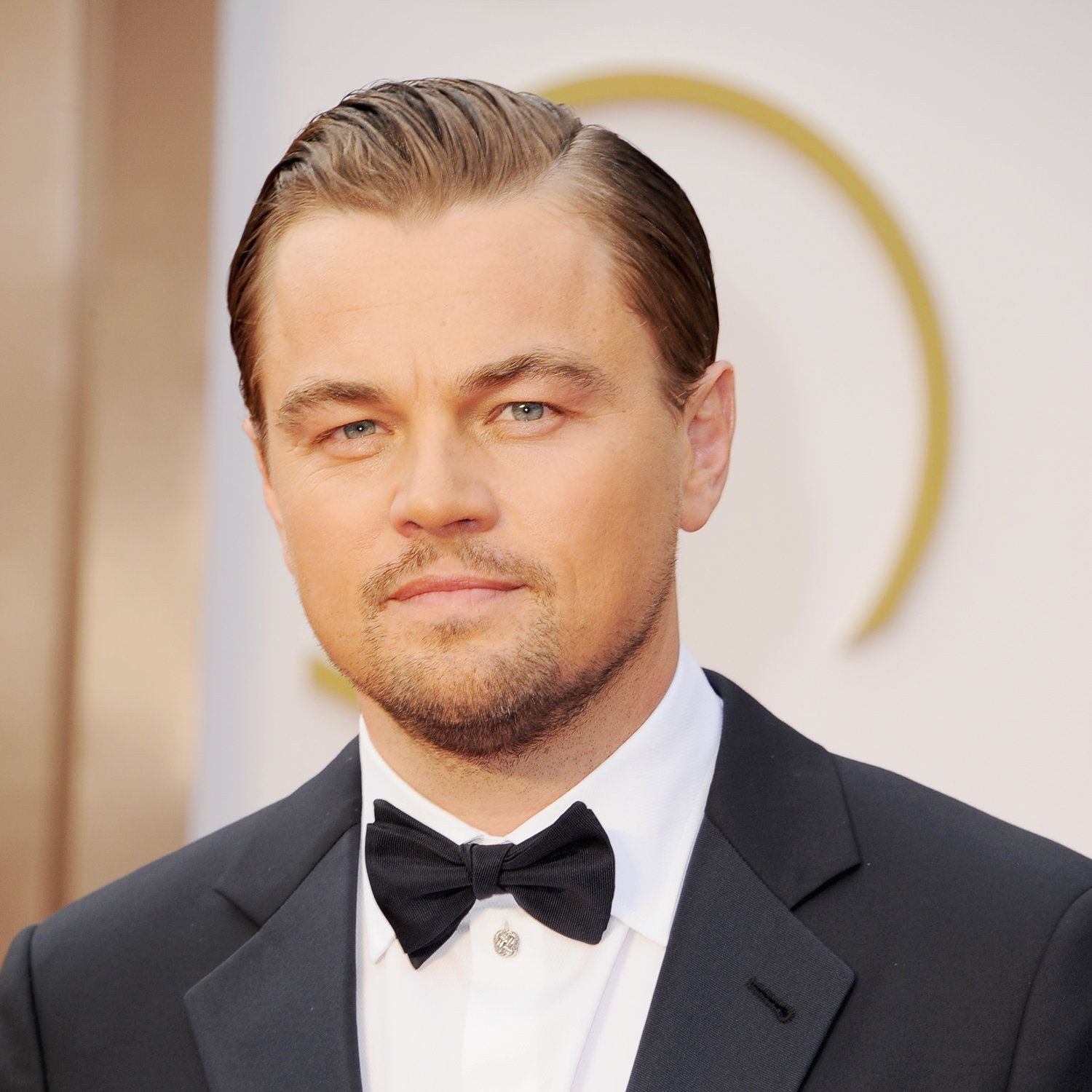 Wallpaper #GGcJ7ZIBSpphPi3-z1bZ288 Oscar Nominees Oscars 2014 the Oscars 2014 Academy Awards 2014