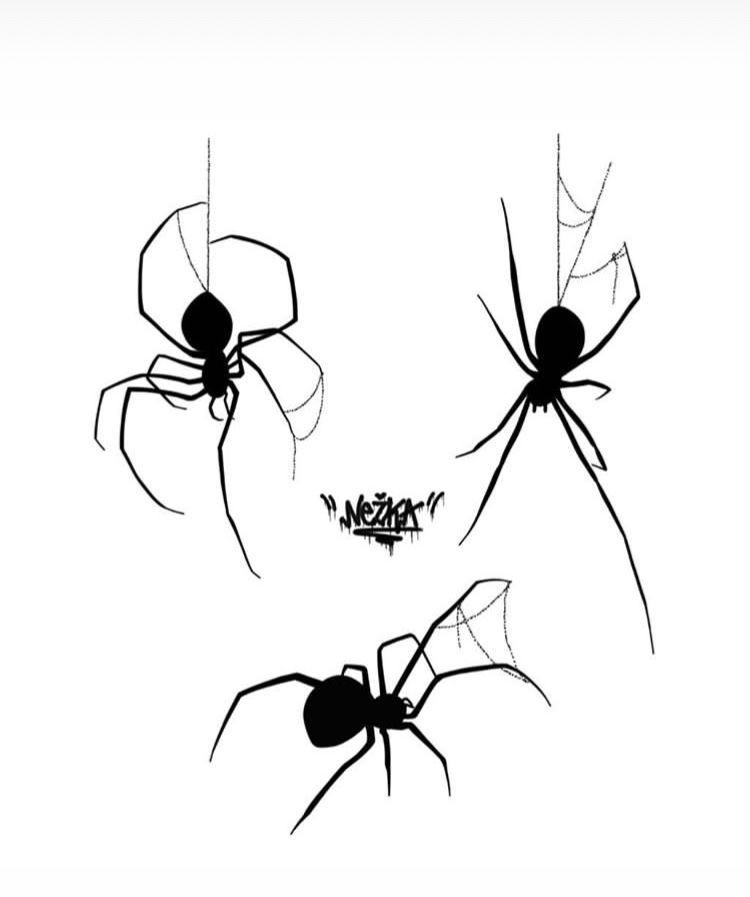Wallpaper #71bf1 Pin by Kayleigh on Spider Drawings in 2024 Spiderman Drawing
