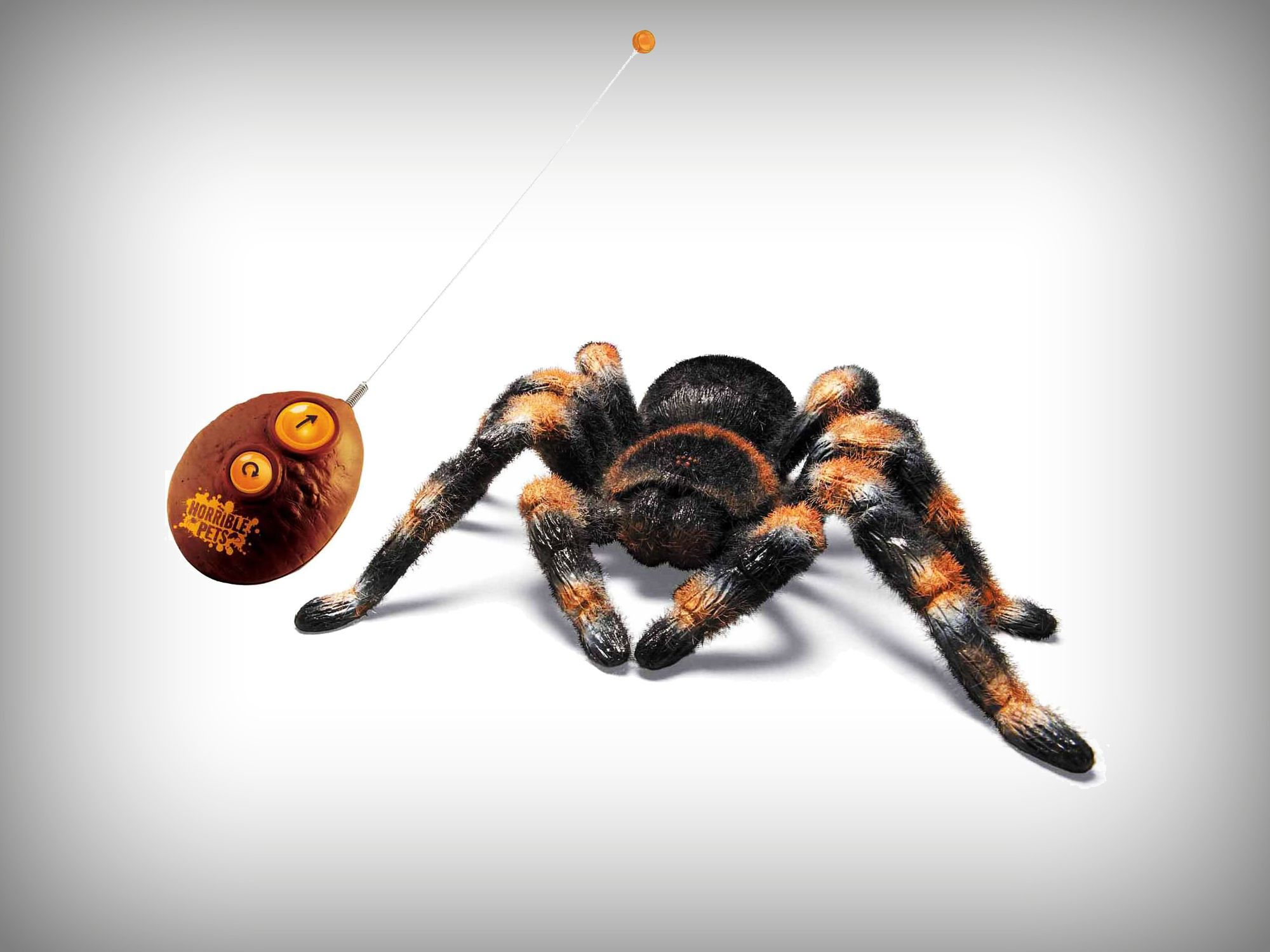 Wallpaper #CfQhOpMBKFX8bn3r83gp119 Remote Controlled Tarantula Toys for Girls Cool Toys Gadgets