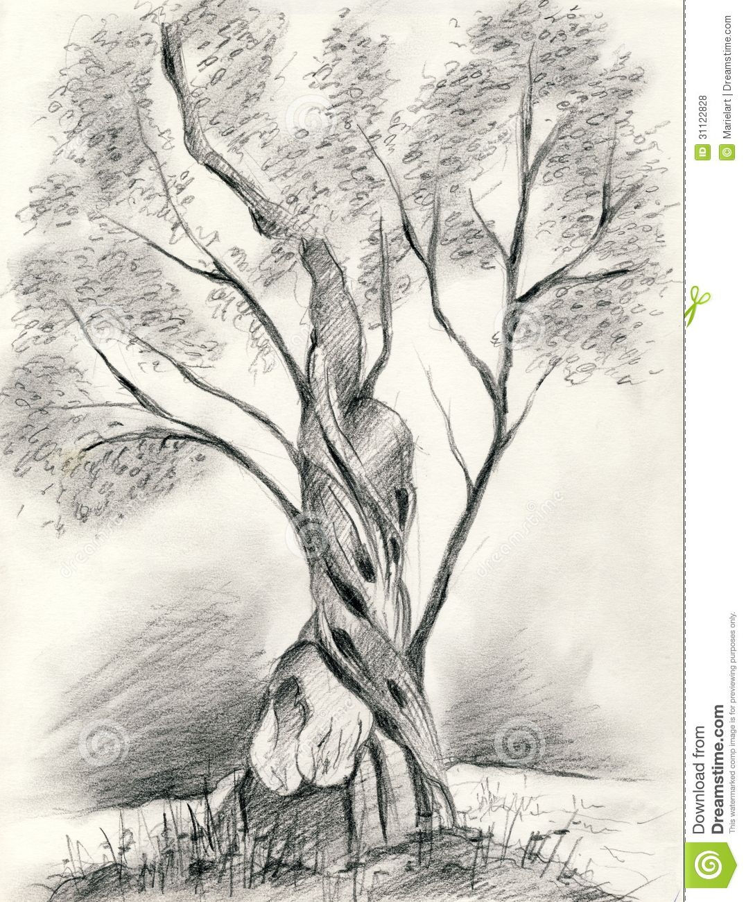 Wallpaper #BWgvFZMBSpphPi3-Zwec3 Abstract Pencil Drawing Trees
