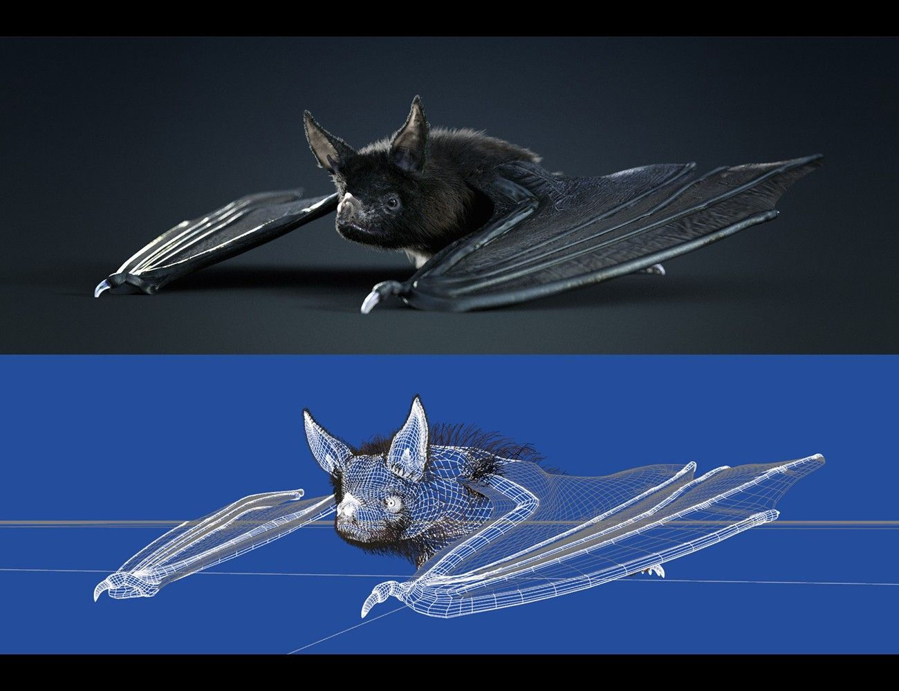 Wallpaper #r3KDMpMBX2lk1u3ogFrF52 Vampire Bat by Am 3D Models and 3D Software by Daz 3D Vampire Bat