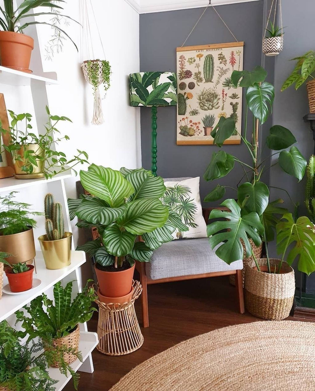 Wallpaper b5610 30 Pretty House Plants Ideas for Living Room Decoration Living Room HD Wallpaper b5610