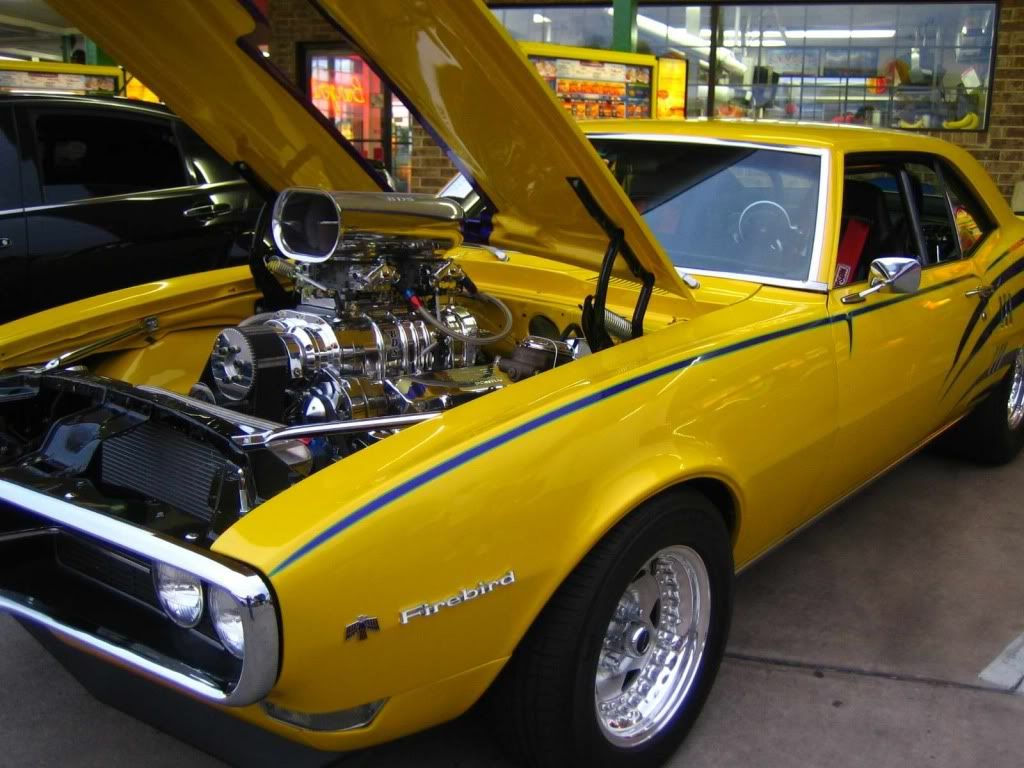 Wallpaper #Lbi625IBJvJKYCmEKvib222 68 Firebird Pontiac Firebird Trans Am American Muscle Cars Sweet Ride