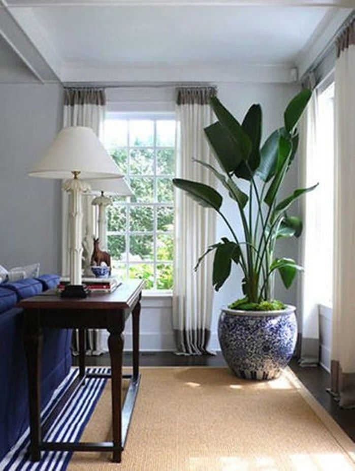 Wallpaper #b5610 30 Pretty House Plants Ideas for Living Room Decoration Living Room