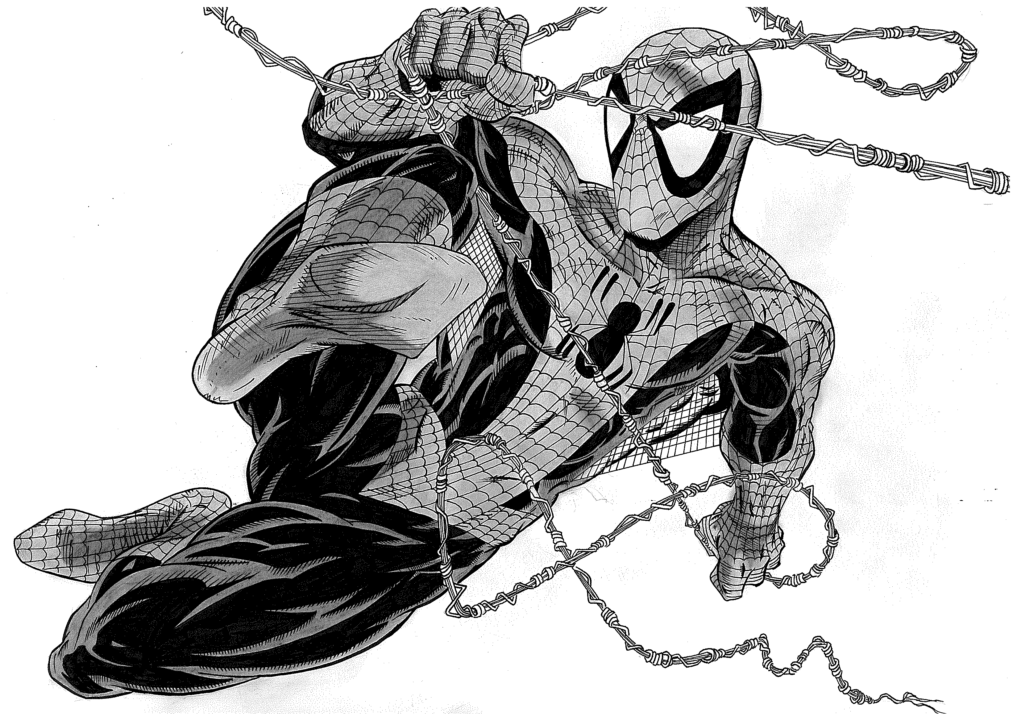 Wallpaper #z2dK-5IBSpphPi3-fJPS30 Todd Mcfarlane Todd Mcfarlane Spiderman Todd Mcfarlane Comic Book
