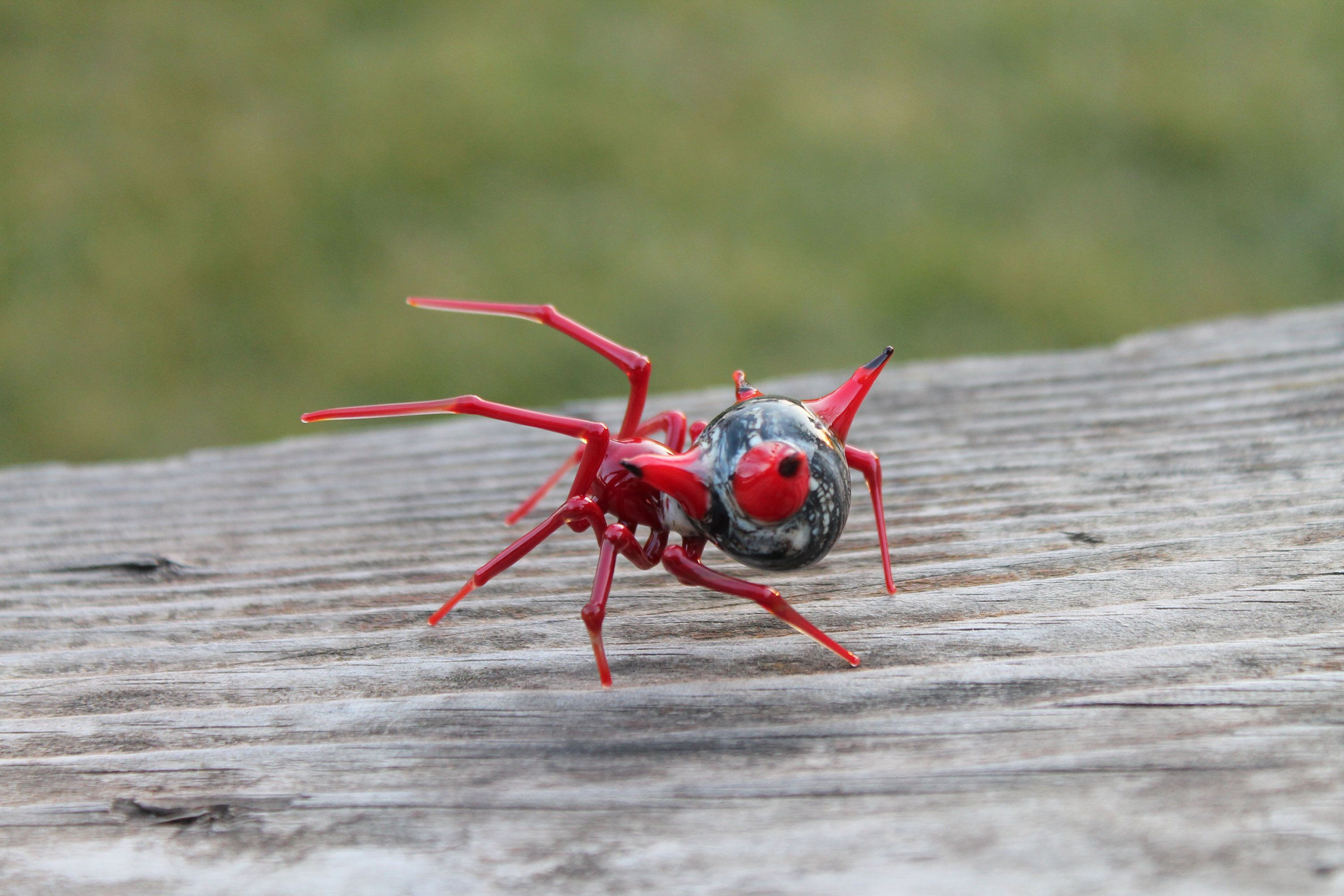 Wallpaper #H_SpOZMBKFX8bn3rSXeg317 Glass Spider Horned Spider Spiny Orb Weaver Glass Spider Etsy Glass