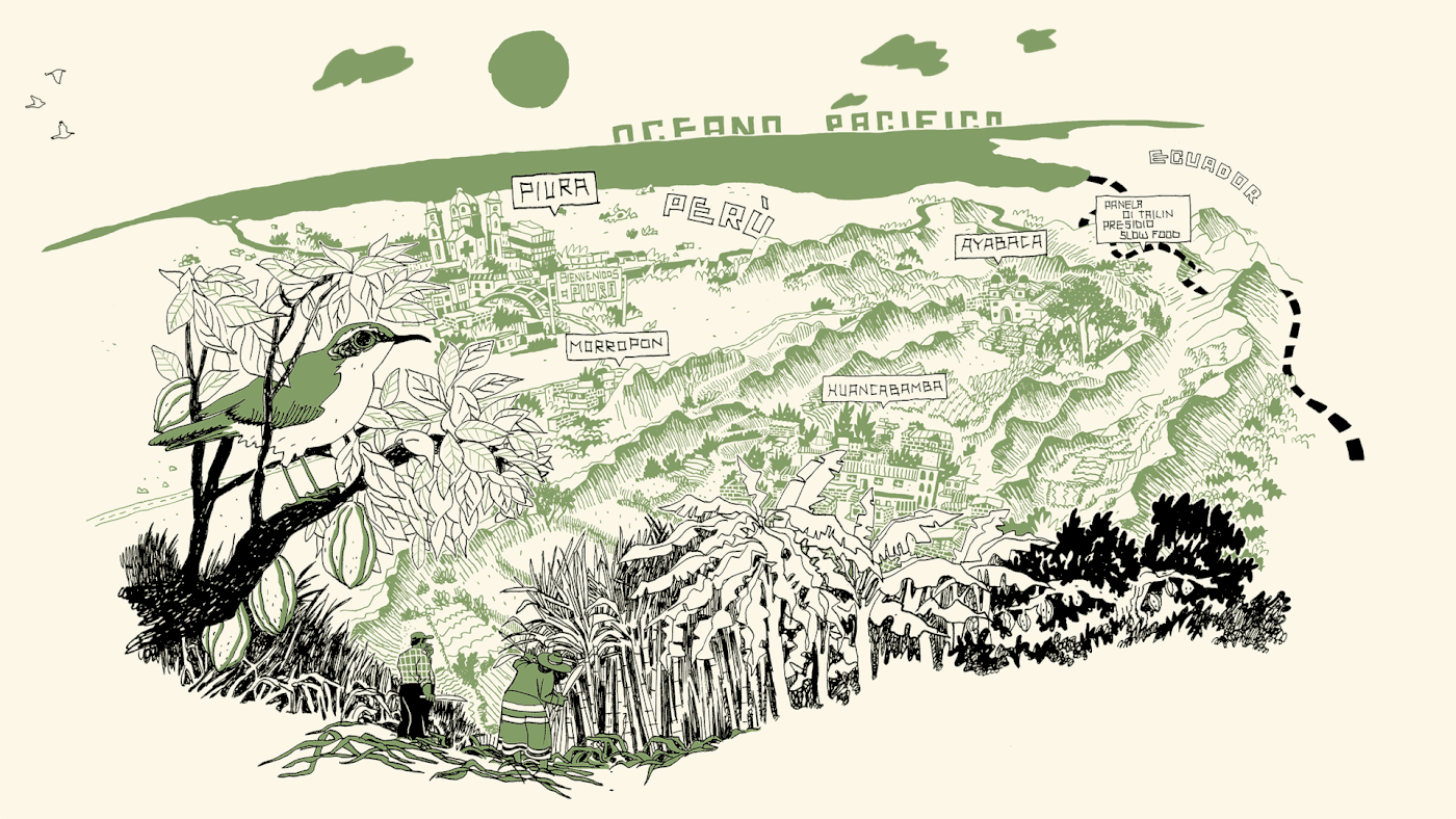 Wallpaper #TWdH7ZIBSpphPi3-vVca279 An Illustrated Map with Trees Mountains and Other Things in the