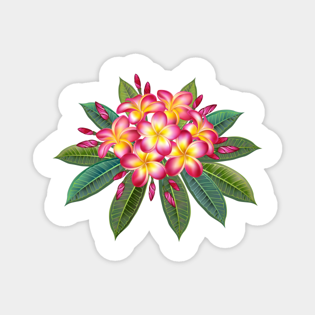 Wallpaper #rbg73JIBJvJKYCmEZfqB475 Blooming Pink Plumeria by K3dmoon in 2024 Flower Drawing Nature