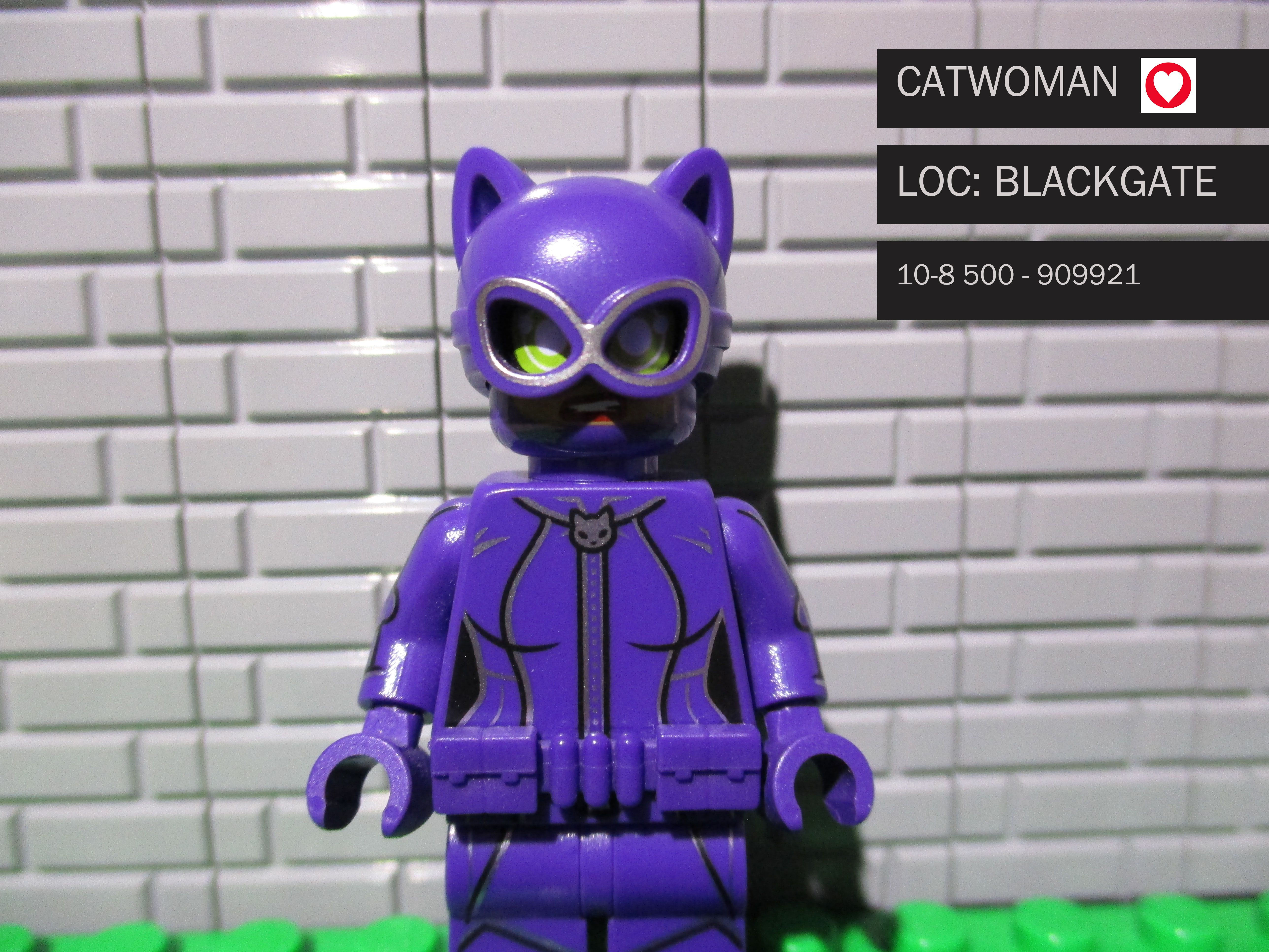 Wallpaper #JAD8644BSdW8dNouiRPK45 Lego Minifigure Art Lego Minifigures Catwoman Legos Mini Figures