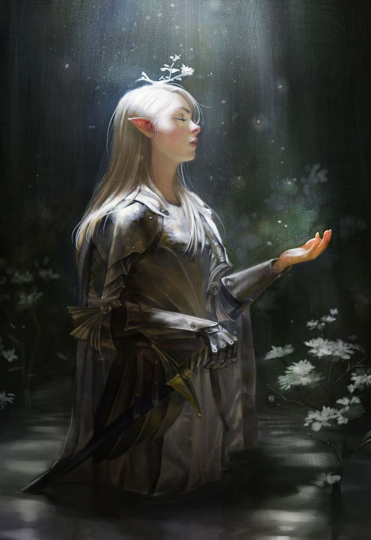 Wallpaper #FljiM5MBzN9vxX34CjrH148 Elves Fantasy Fantasy Rpg Medieval Fantasy Dungeons and Dragons