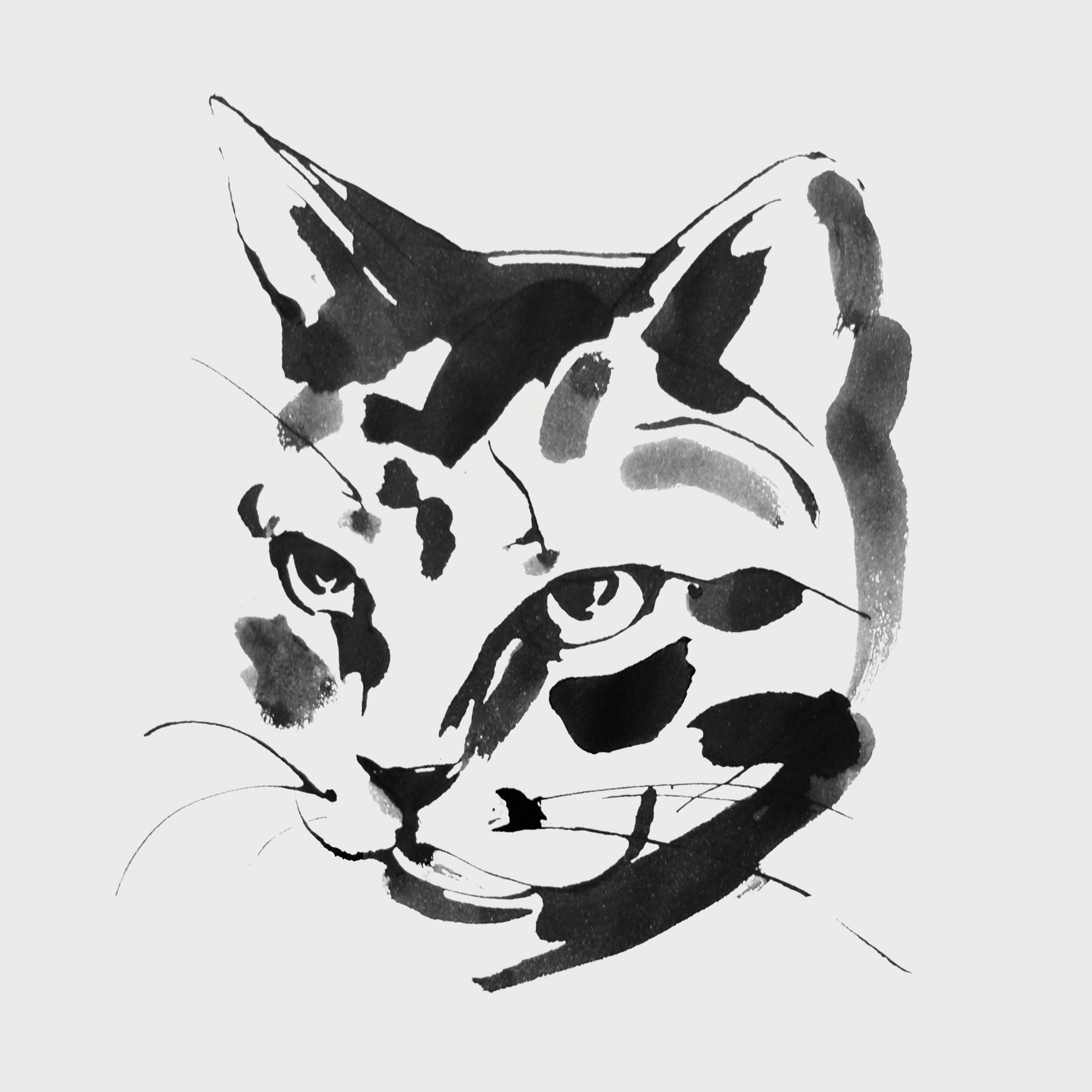Wallpaper #NhmcBY8BtGB6xQ78wVJN48 Pin on Animal Black White Illustrations