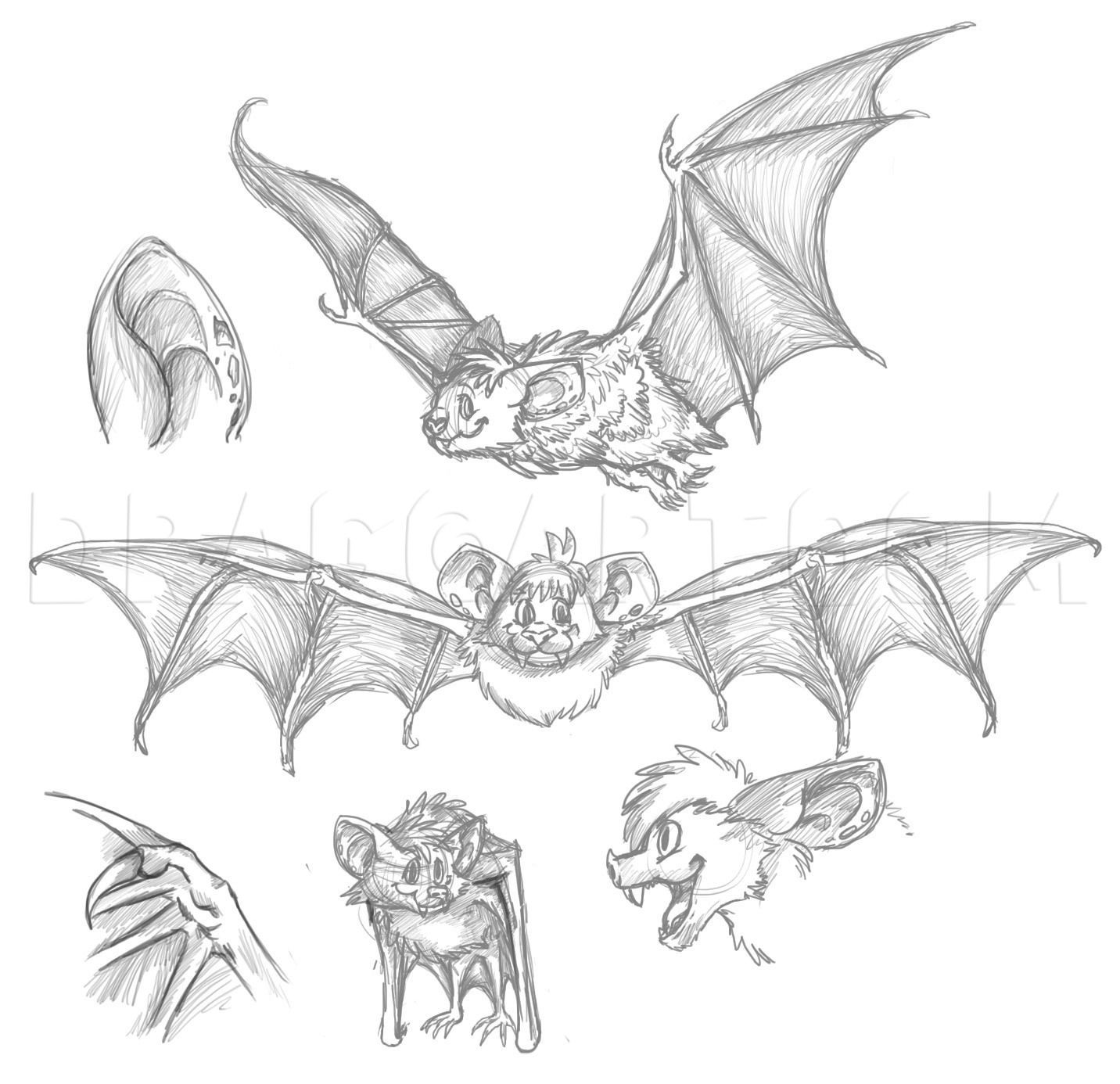 Wallpaper #rBnFHY8BtGB6xQ78W3f418 How to Draw a Cartoon Bat Step by Step Drawing Guide by Dawn