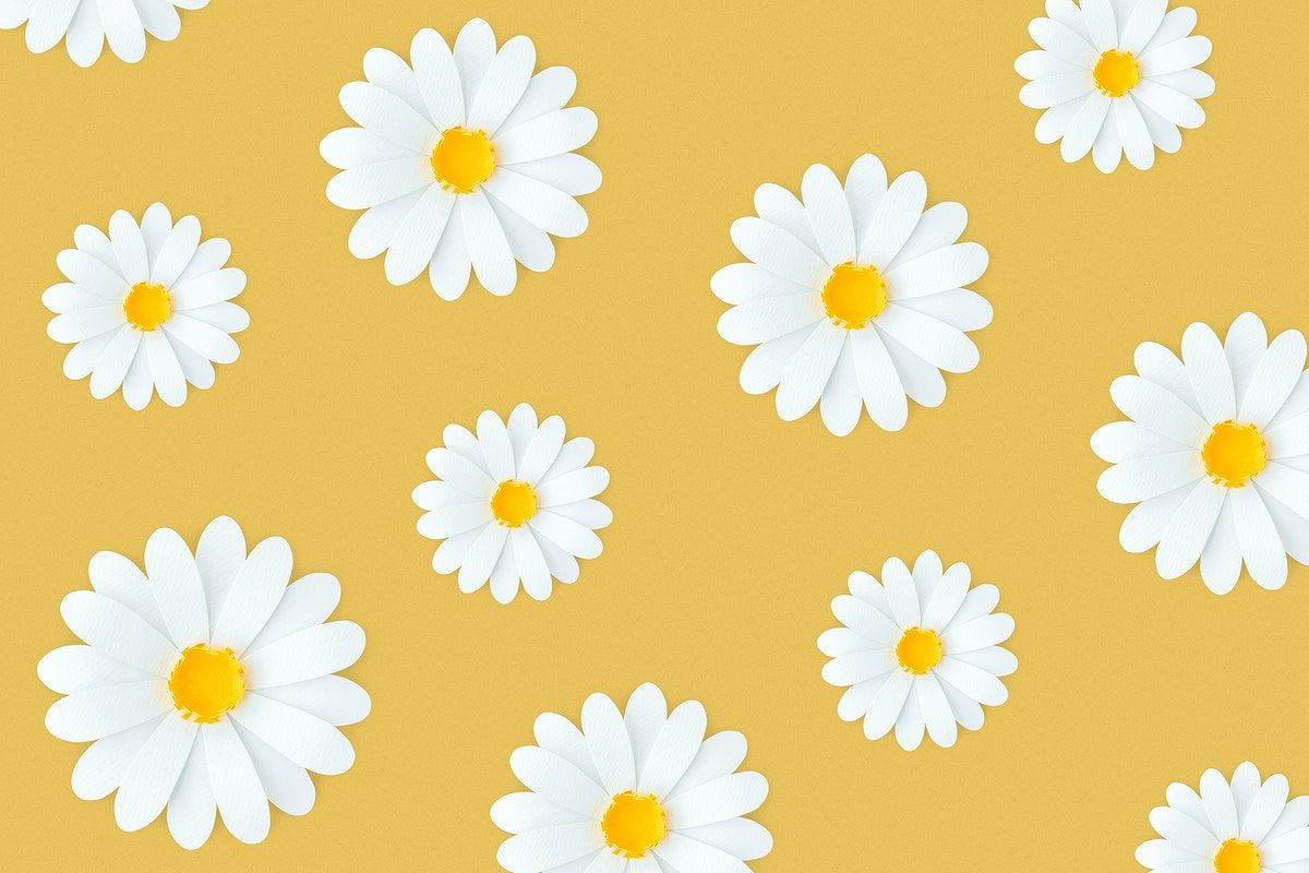 Wallpaper #12hXIpMBSpphPi3-bTLG276 Cartoon Daisy Flower Wallpaper Gambar Bunga Images