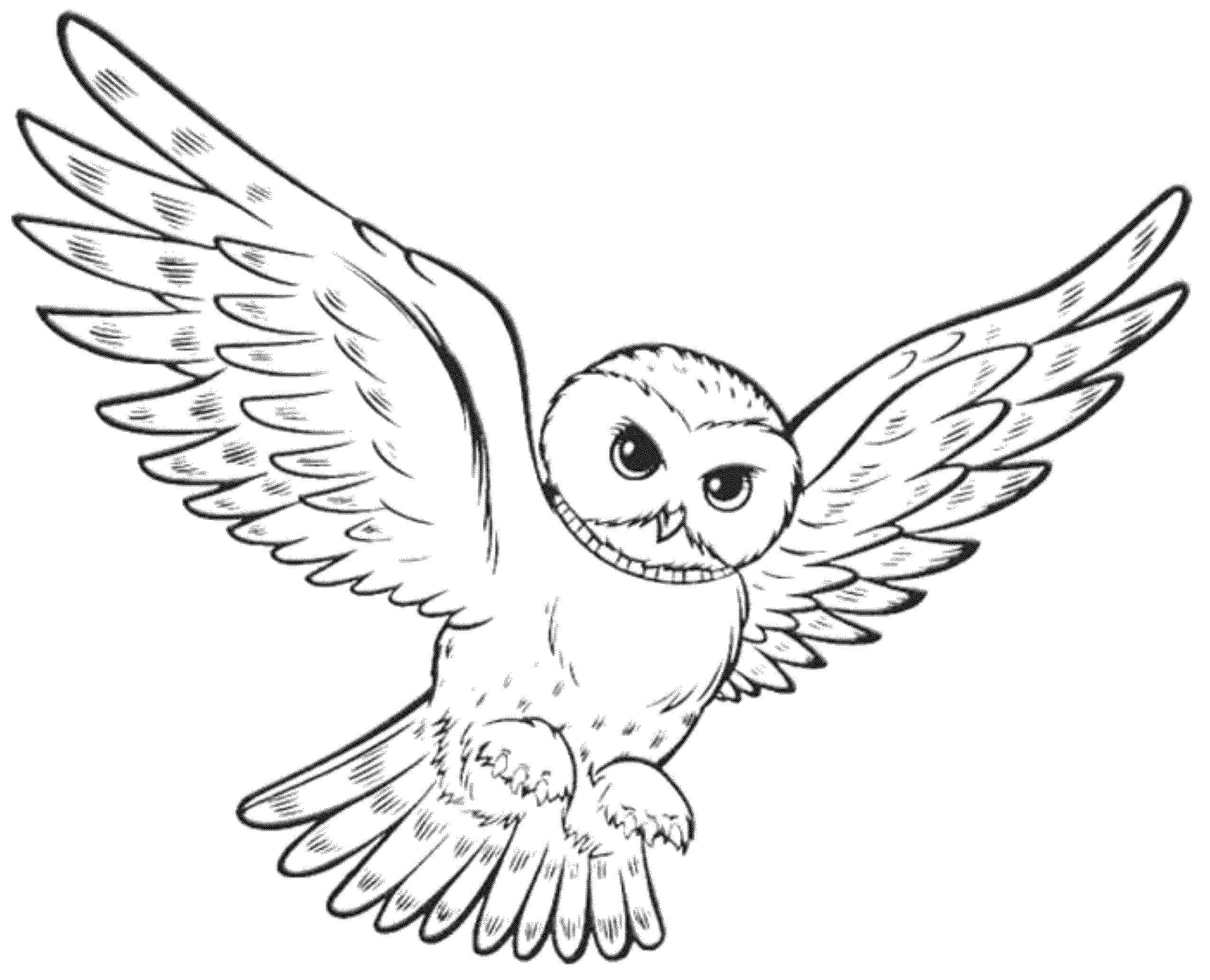 Wallpaper #6qlRh5cBxbDgA0Rlce3188 Owls Coloring Pages Alantehooper