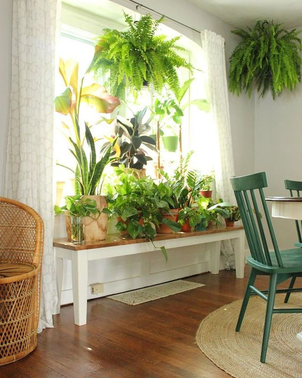 Wallpaper #b5610 30 Pretty House Plants Ideas for Living Room Decoration Living Room