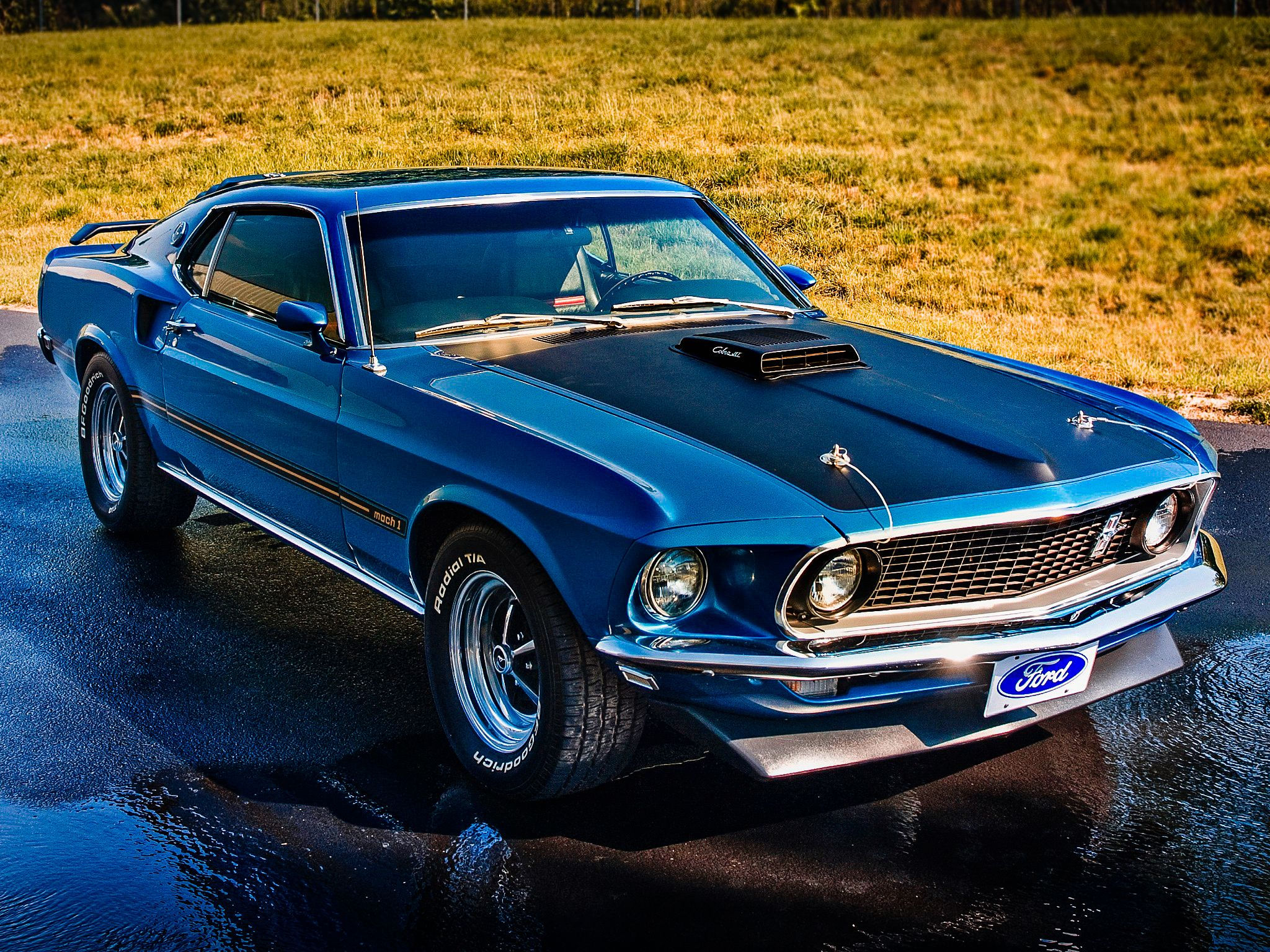 Wallpaper #8mcMCJMBSpphPi3-ysiS179 Pin on Classic Mustangs