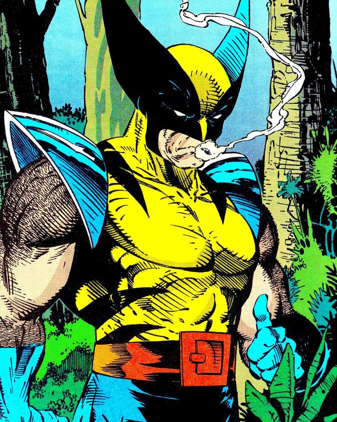 Wallpaper #z2dK-5IBSpphPi3-fJPS181 The Herb Friendly Wolverine Spider Man No 10 May 1991 Perceptions
