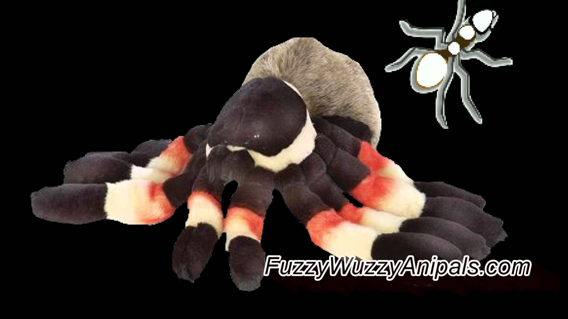 Wallpaper #3PQROpMBKFX8bn3rnHfv347 Tarantula Stuffed Animal Tarantula Animals Spider