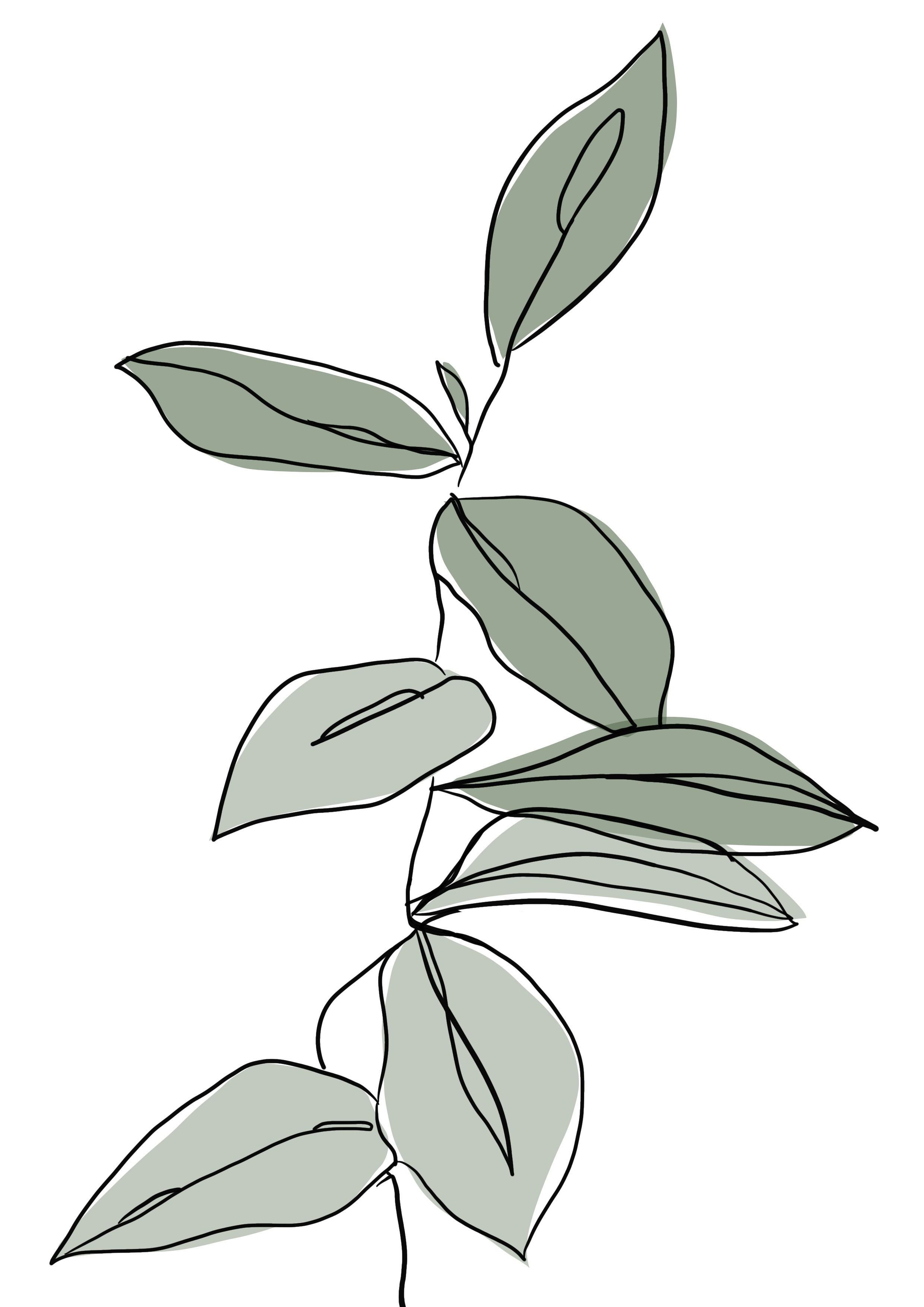 Wallpaper #9R0YLZMBlOZrFDOkn87x284 Simple Botanical Print Minimalist Modern Line Art Aesthetic