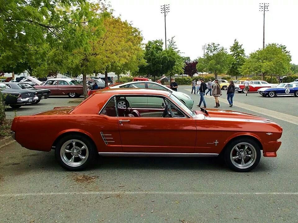 Wallpaper #n7gi1pIBJvJKYCmEdNwN218 Pin on Mustang Stable