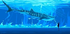 Wallpaper #drj_3JIBJvJKYCmE5P5P368 A Man Standing in Front of a Shark Under Water
