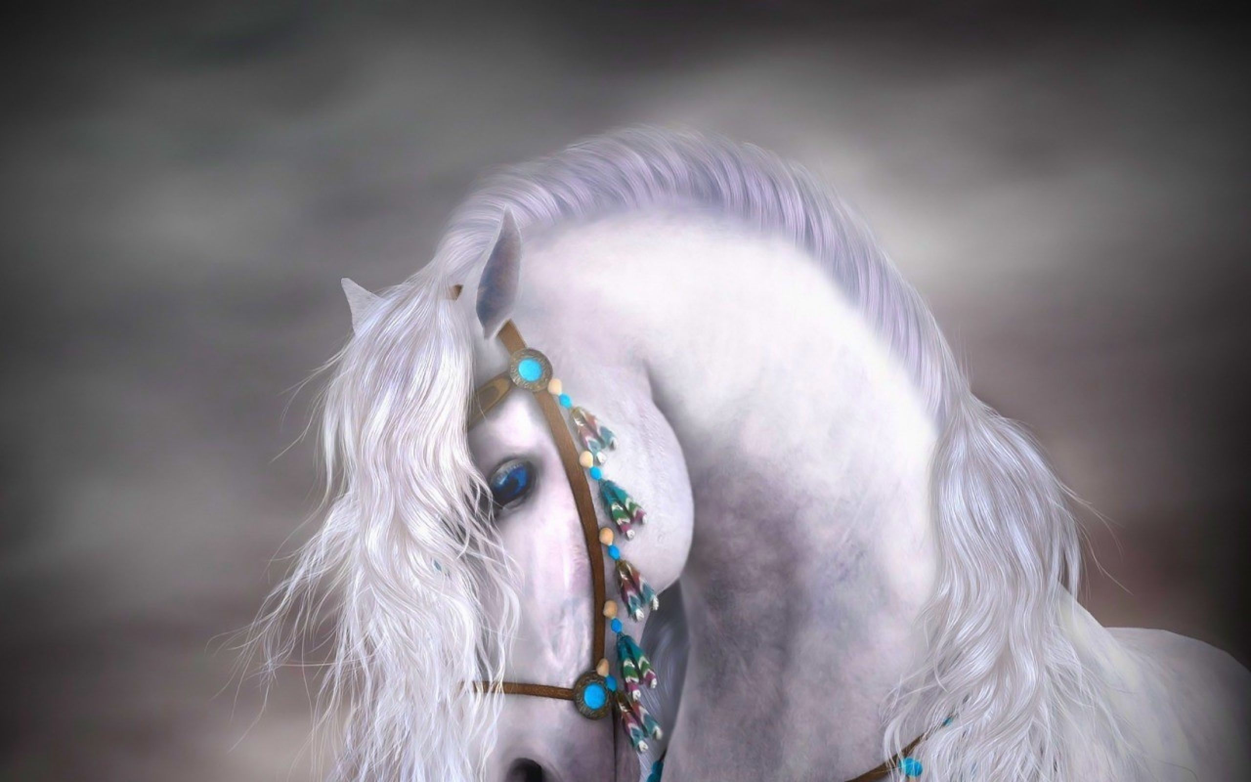 Wallpaper #8h2ULJMBlOZrFDOkIMqE8 Wallpaper Beautiful White Horses
