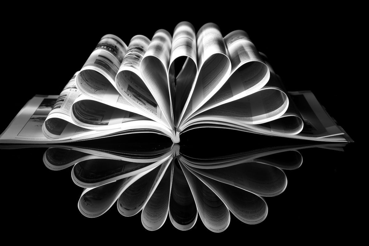 Wallpaper #tB0TLZMBlOZrFDOk0849306 Otrazenie Creative Macro Photography Shape Photography Creative