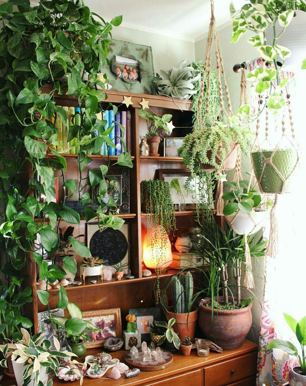 Wallpaper #b5610 30 Pretty House Plants Ideas for Living Room Decoration Living Room
