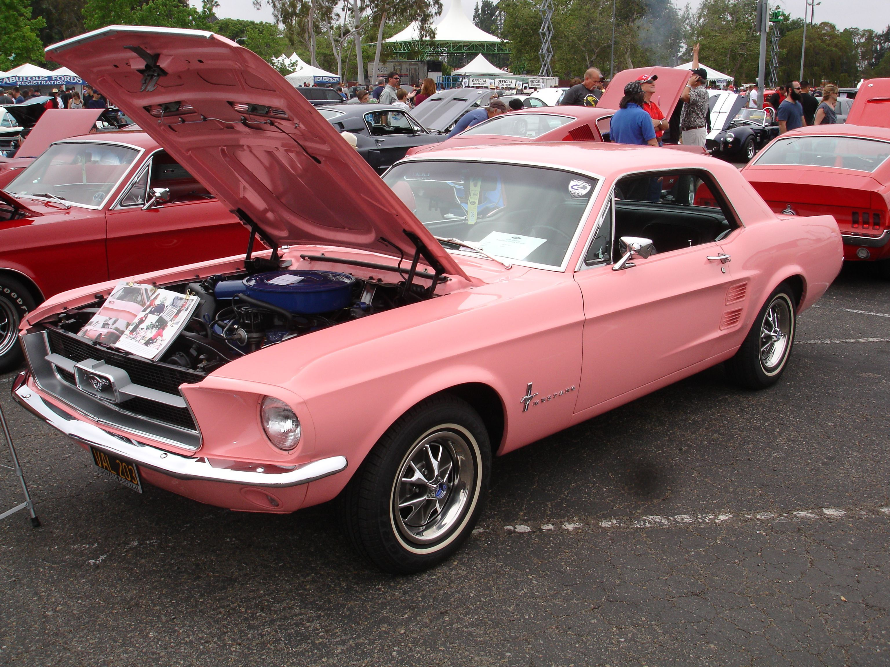 Wallpaper #41D04 Modified and Customized Pink Ford Mustang Stock Photo Alamy